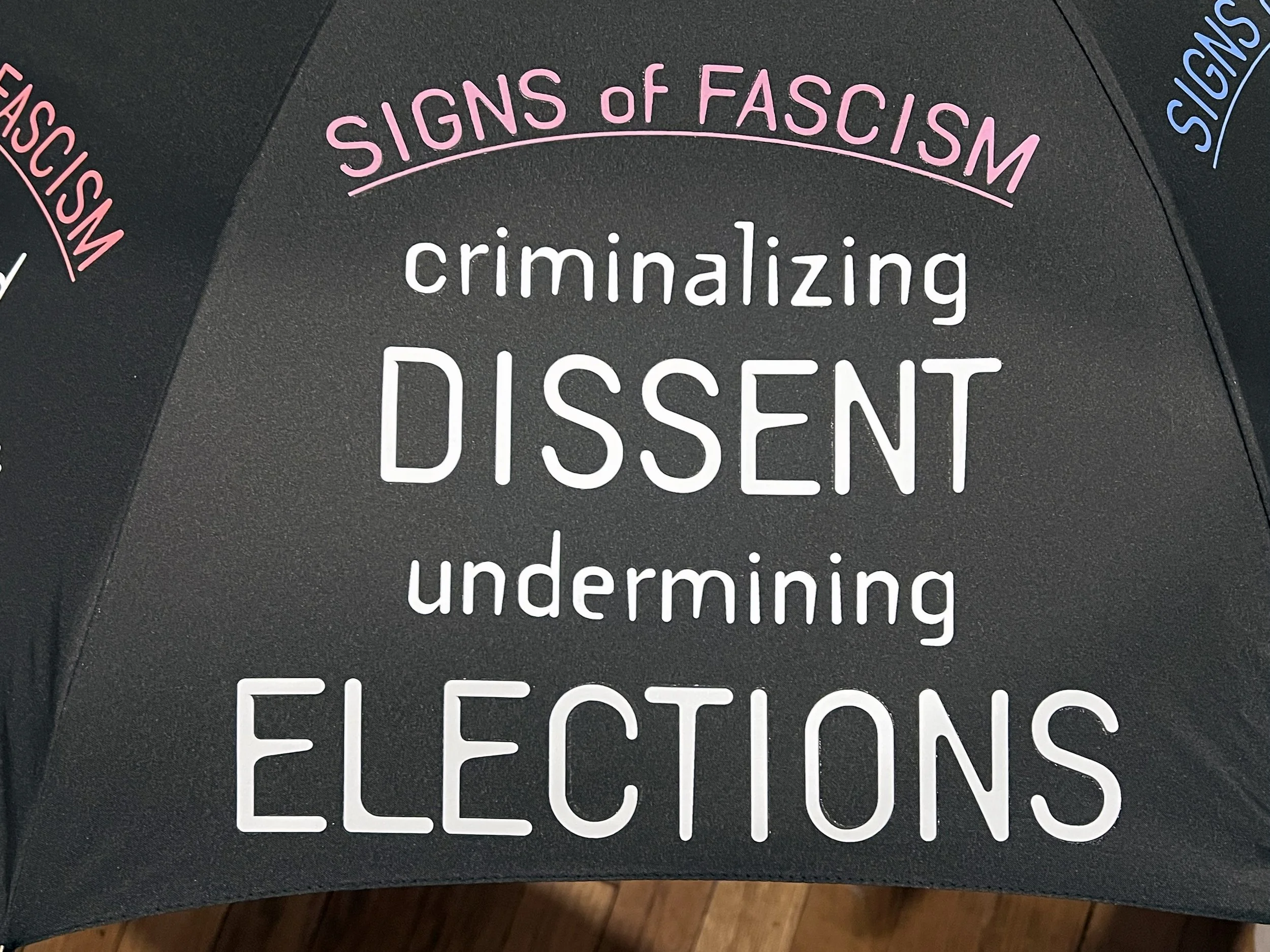 Fascism_Elections.jpg