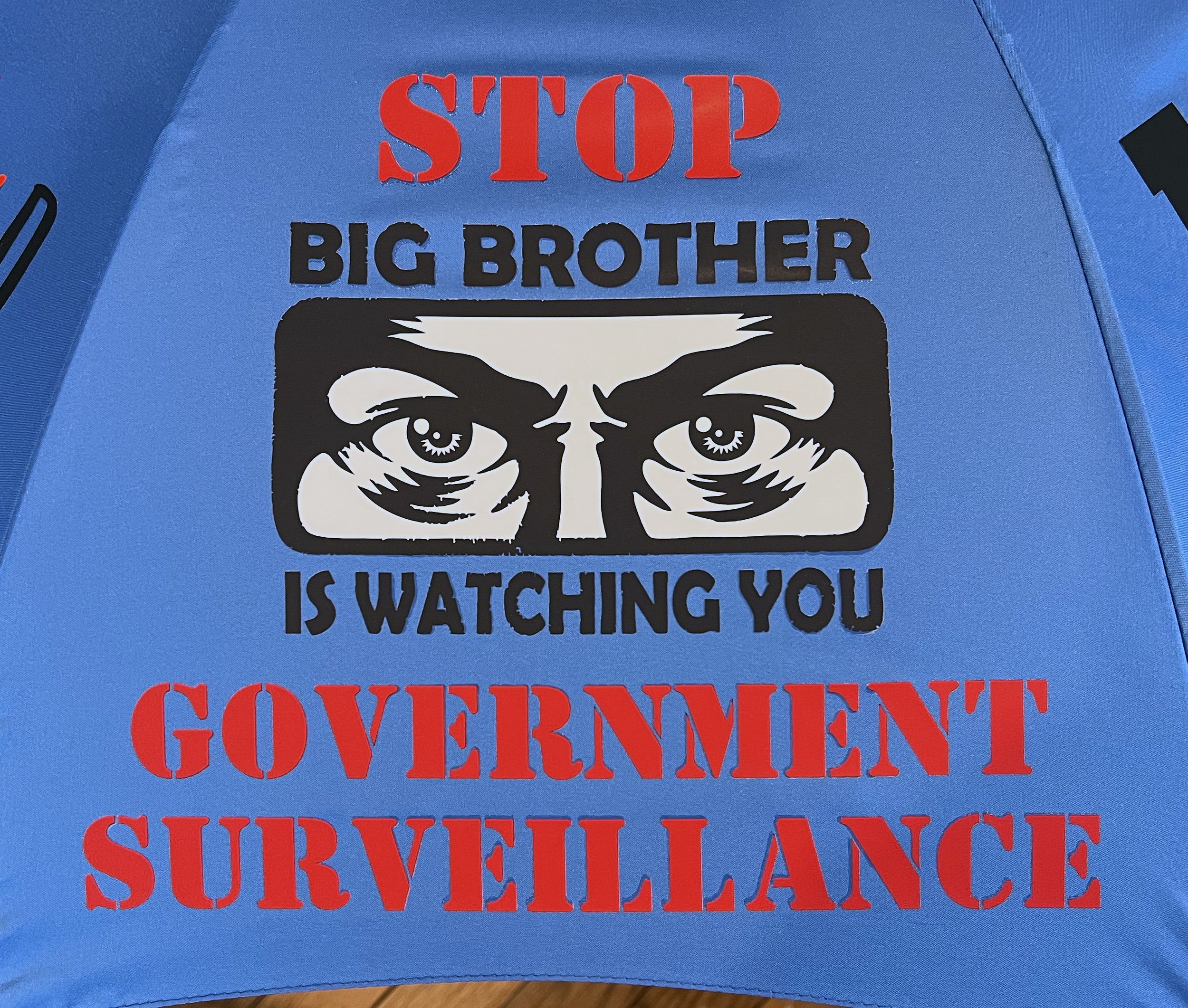 Blue_BigBrother.png