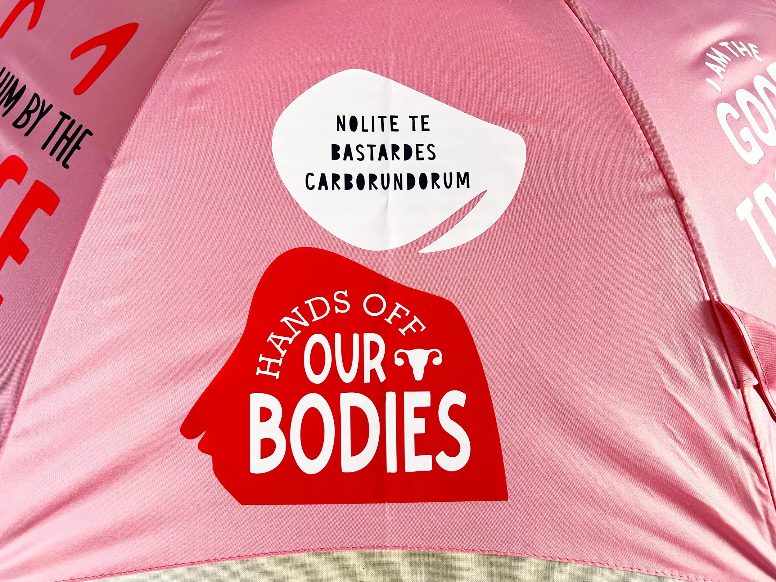 Pink_Handmaid.jpg