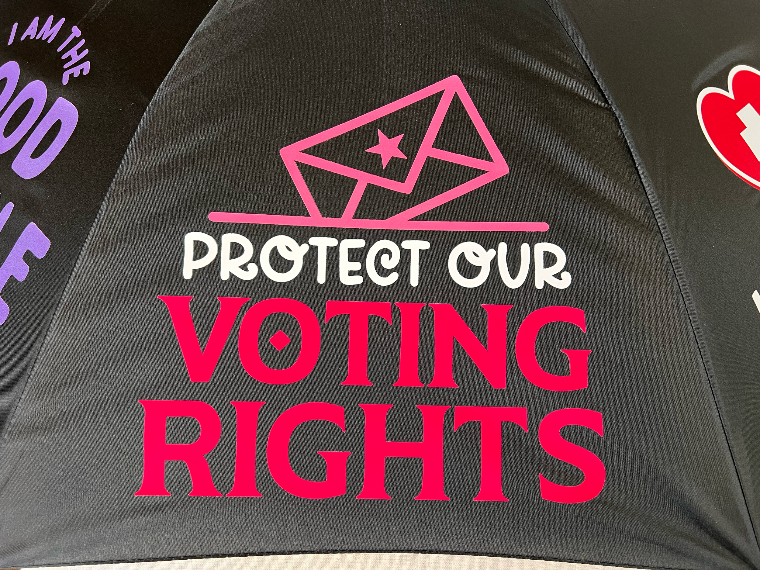 BlackGoodTrouble_VotingRights.png