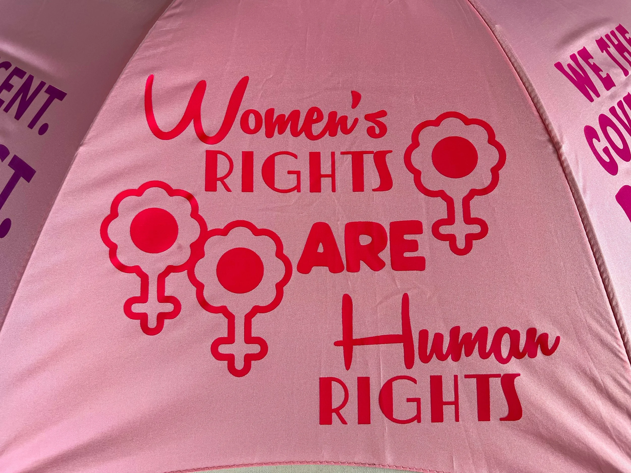 Pink_WomensRights.jpg