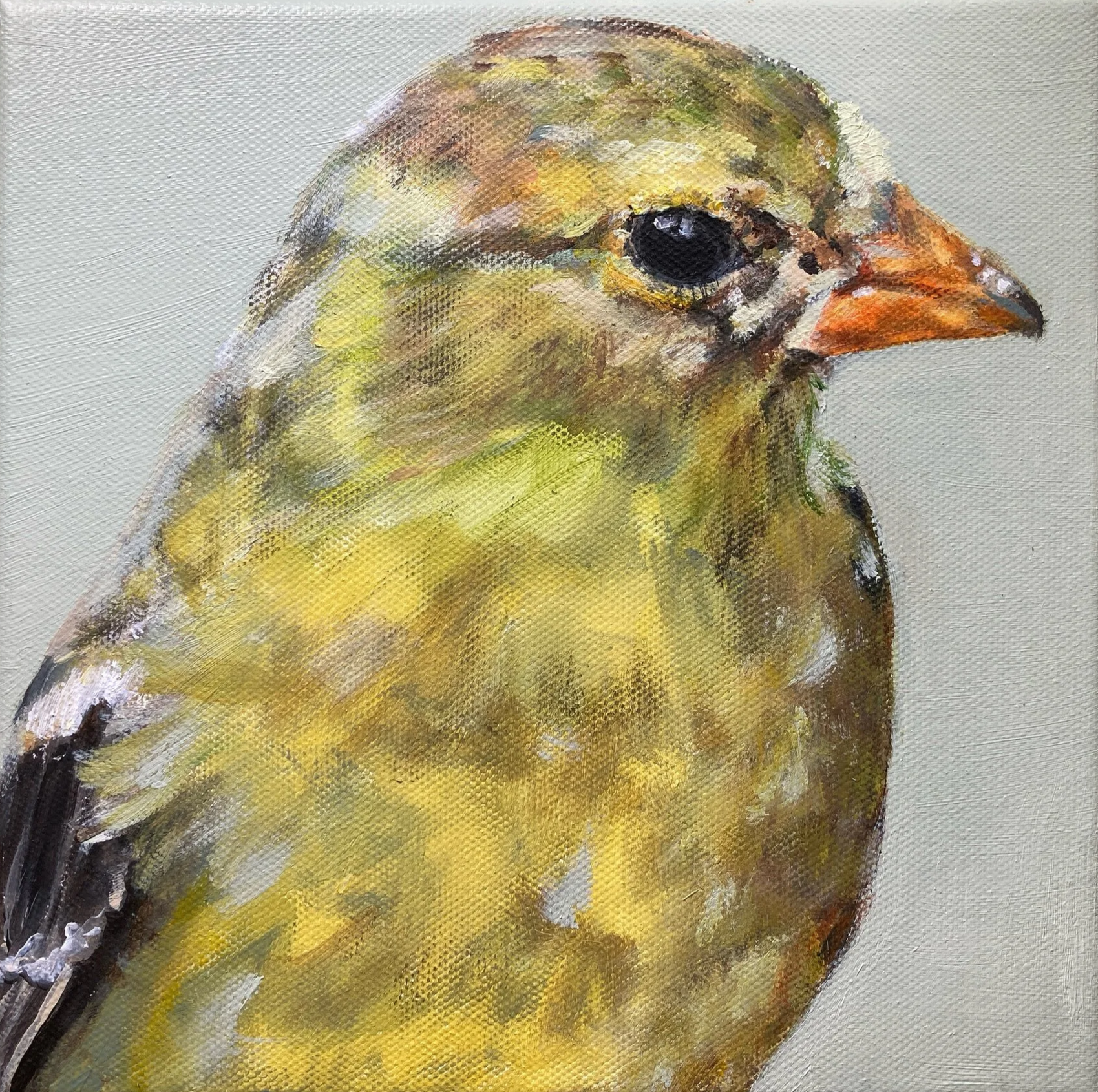 Goldfinch
2025
8x8
acrylic on canvas
Price: $200.00