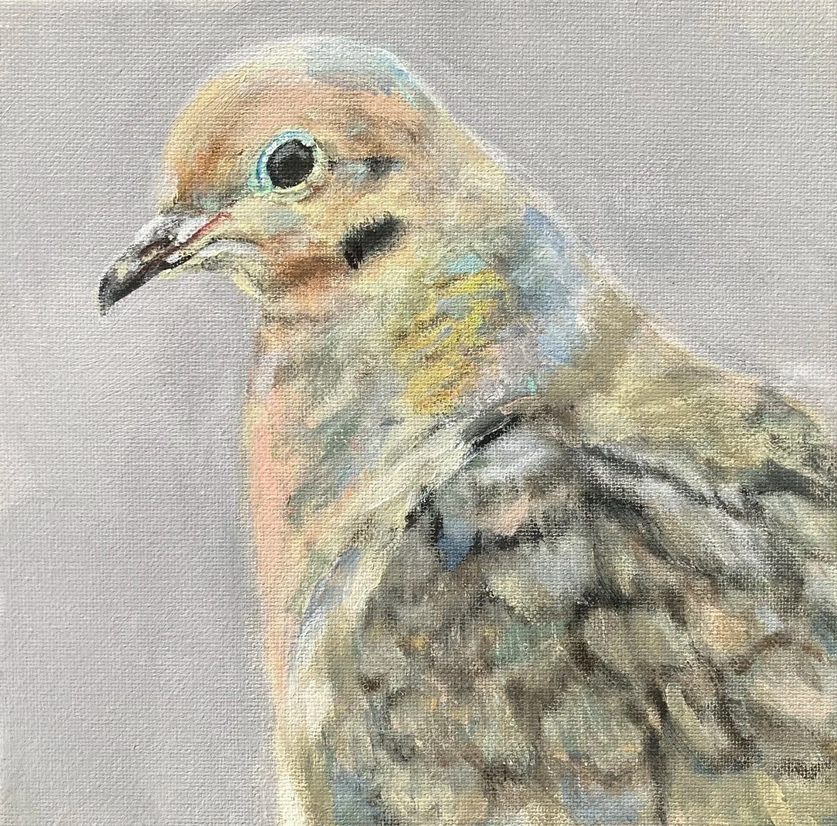 Mourning Dove
2025
8x8
acrylic and chalk pastel on canvas
Price: $150.00