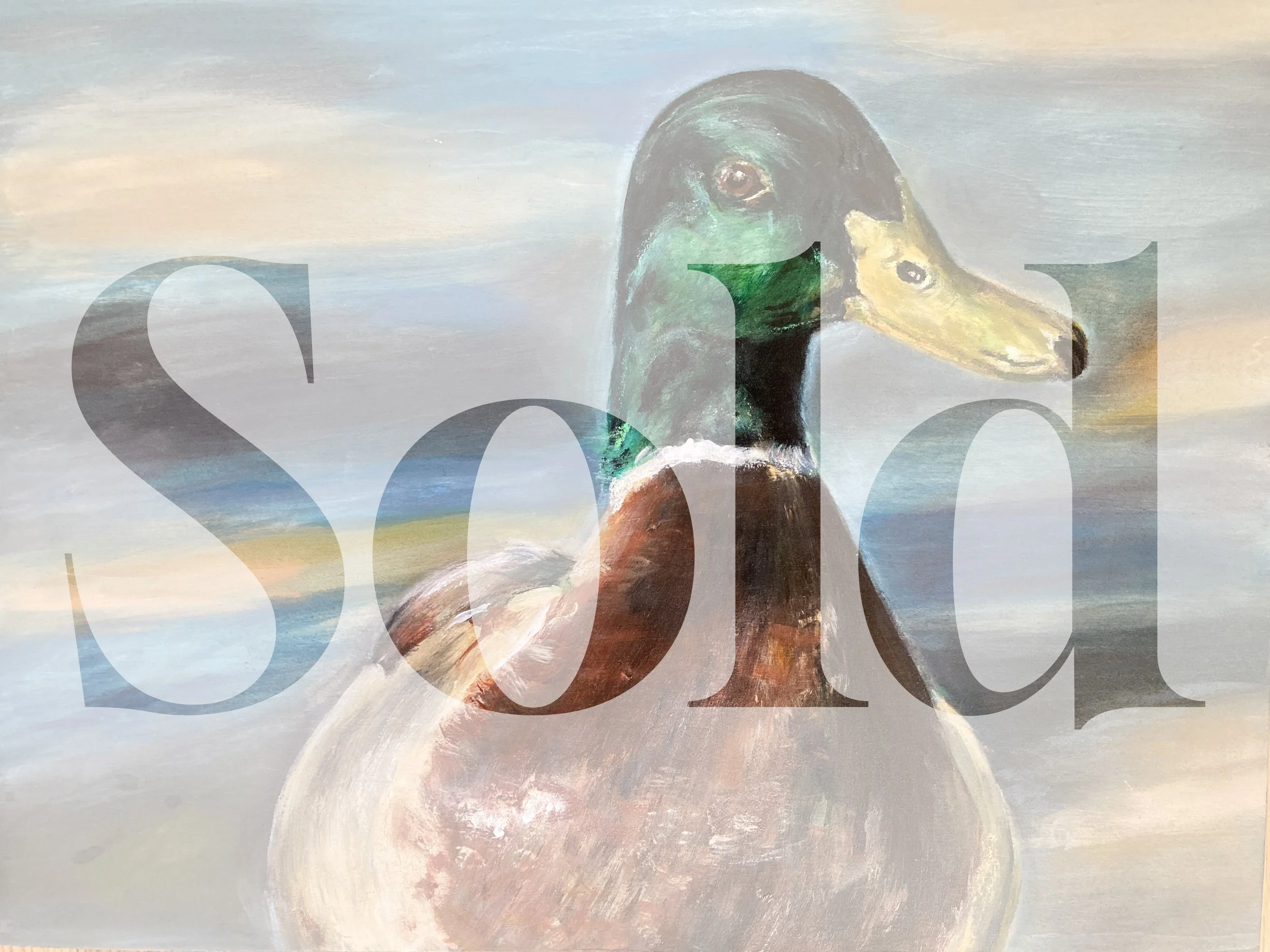 Mallard Duck
2025
11x14
acrylic and pastel on wood

Price: $300.00