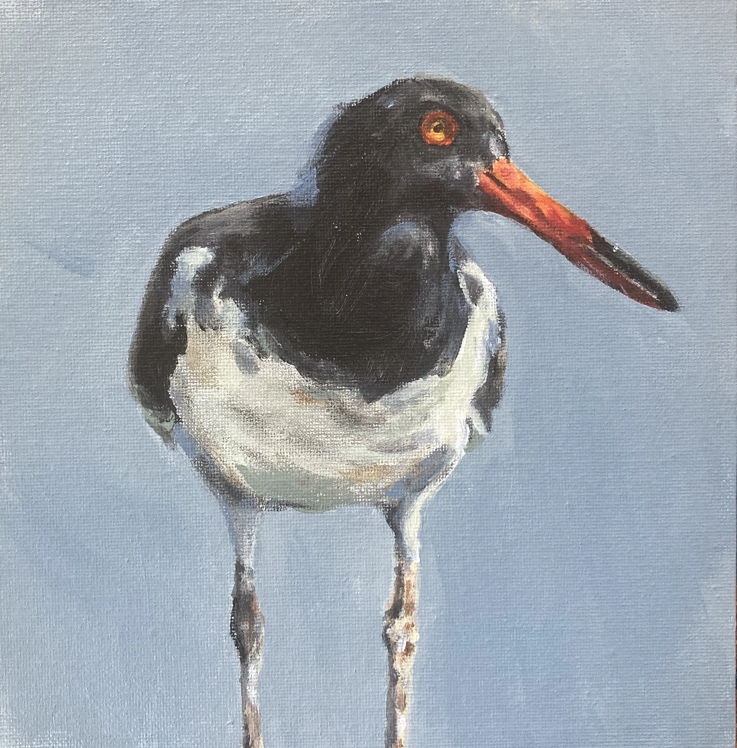 oystercatcher
2025
8x8
acrylic on canvas