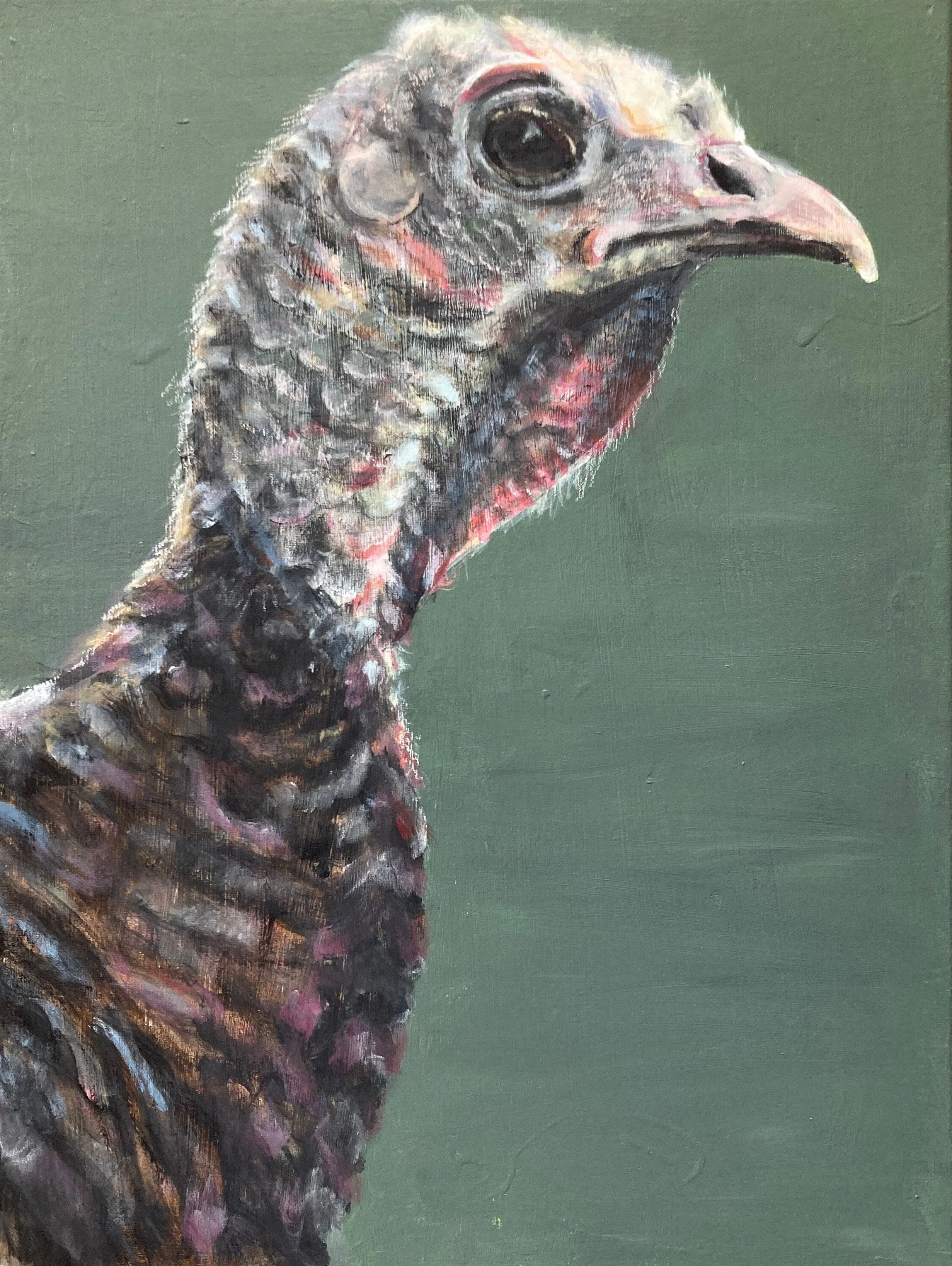 Turkey
2025
18x24
acrylic on canvas

Price: $400.00
