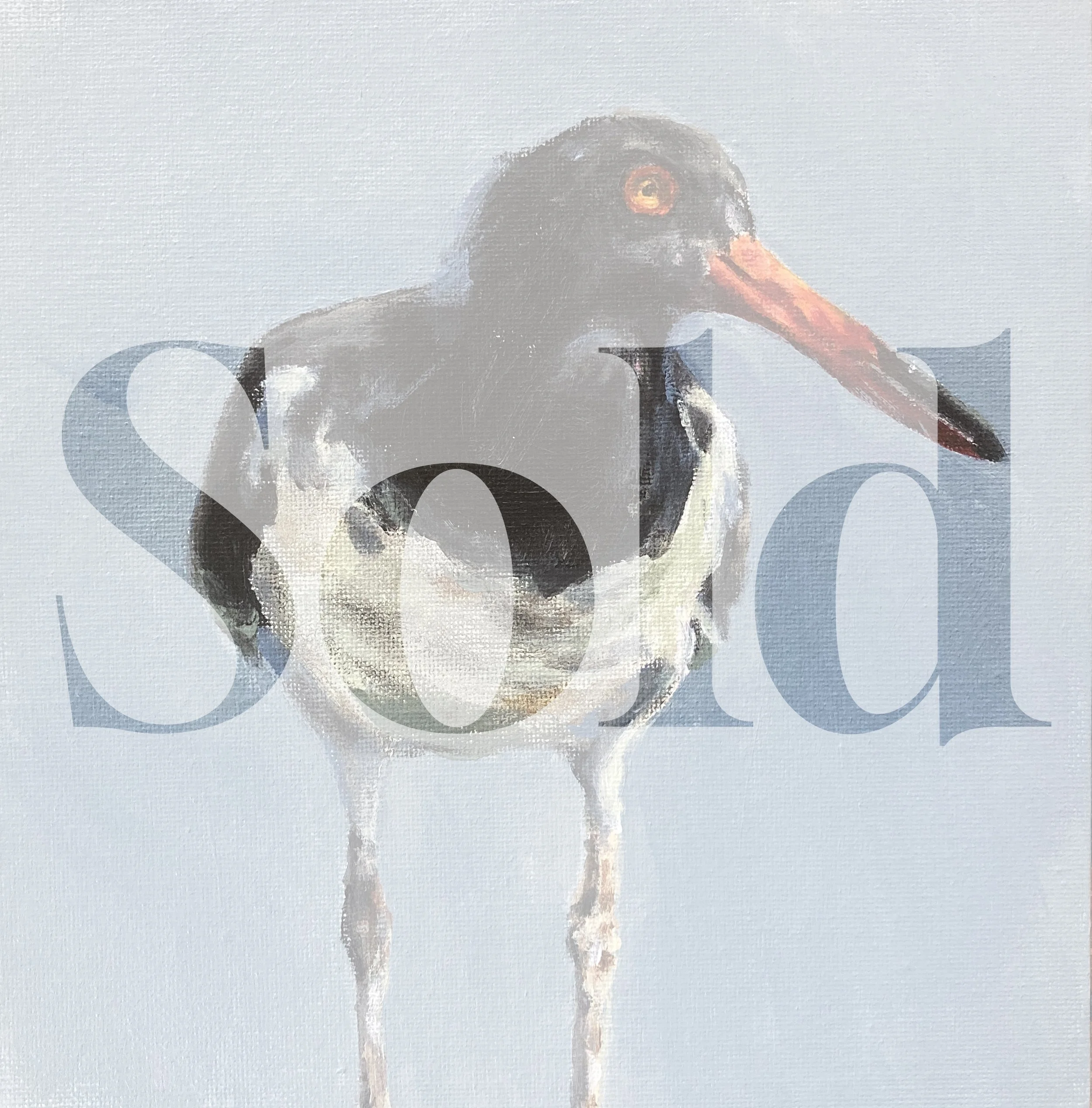 Oystercatcher
2025
8x8
acrylic on canvas

Price: $250.00