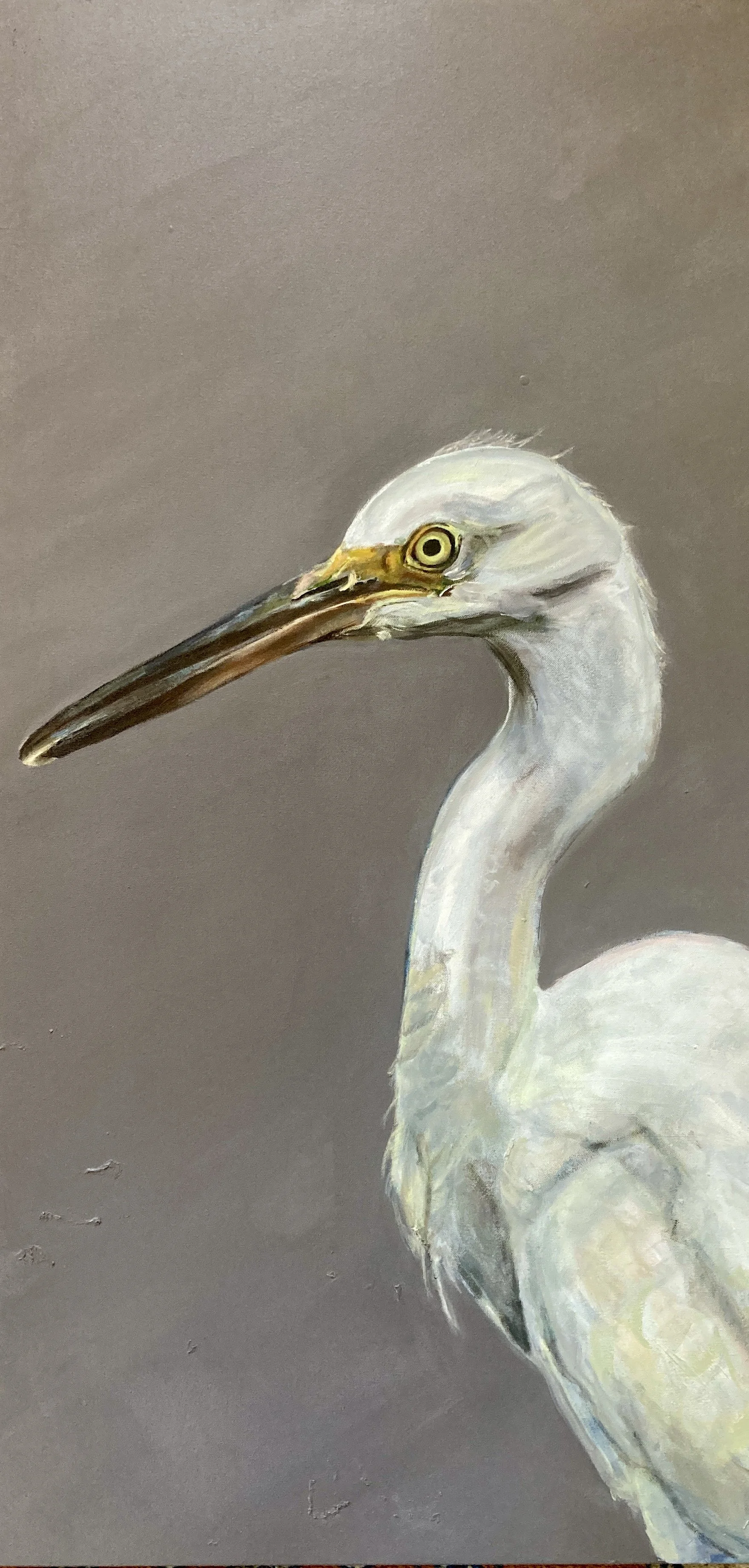 great egret
2025
24x28
acrylic on canvas