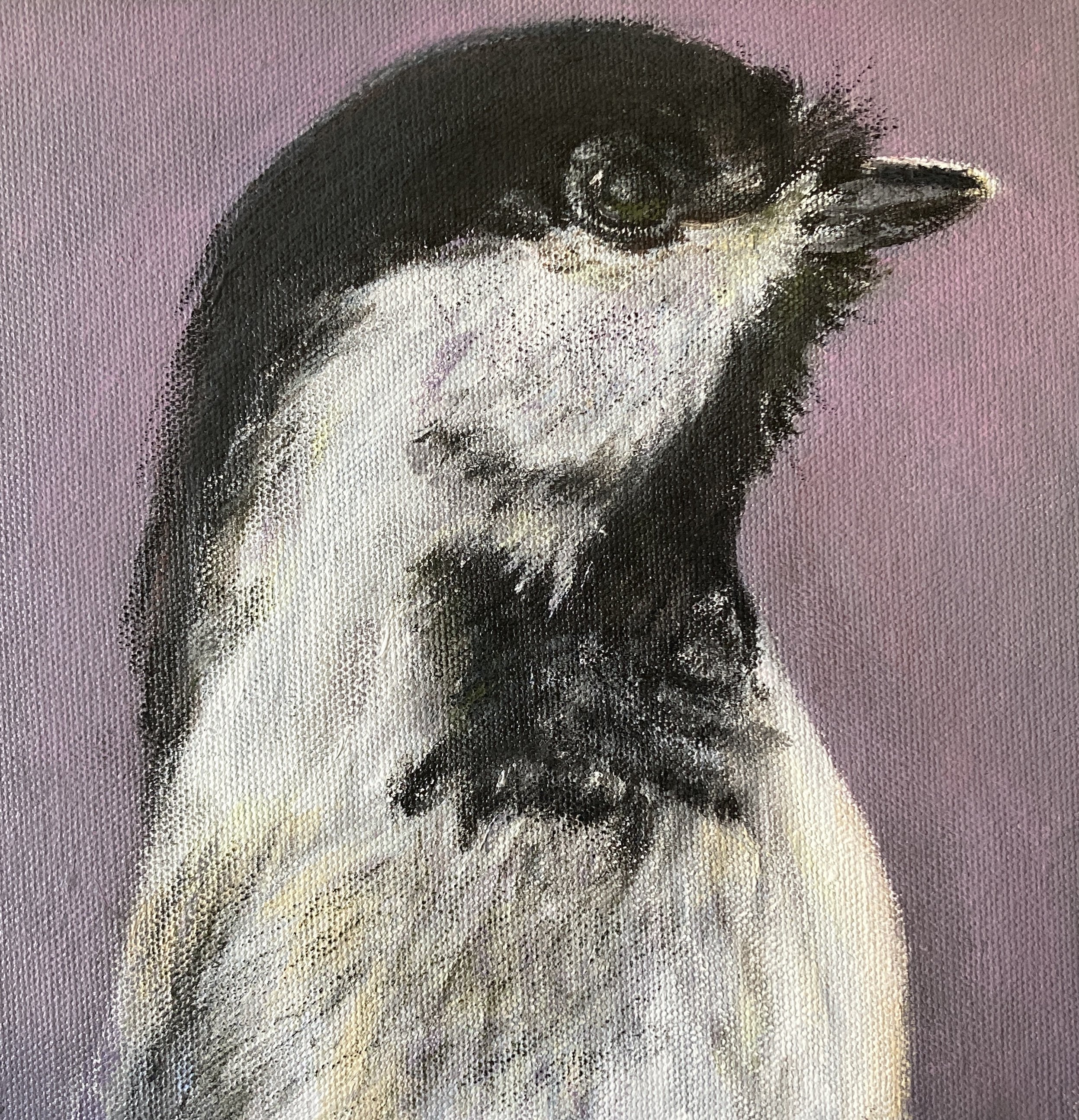 Hey Sweetie!
2024
8x8
acrylic and pastel on canvas