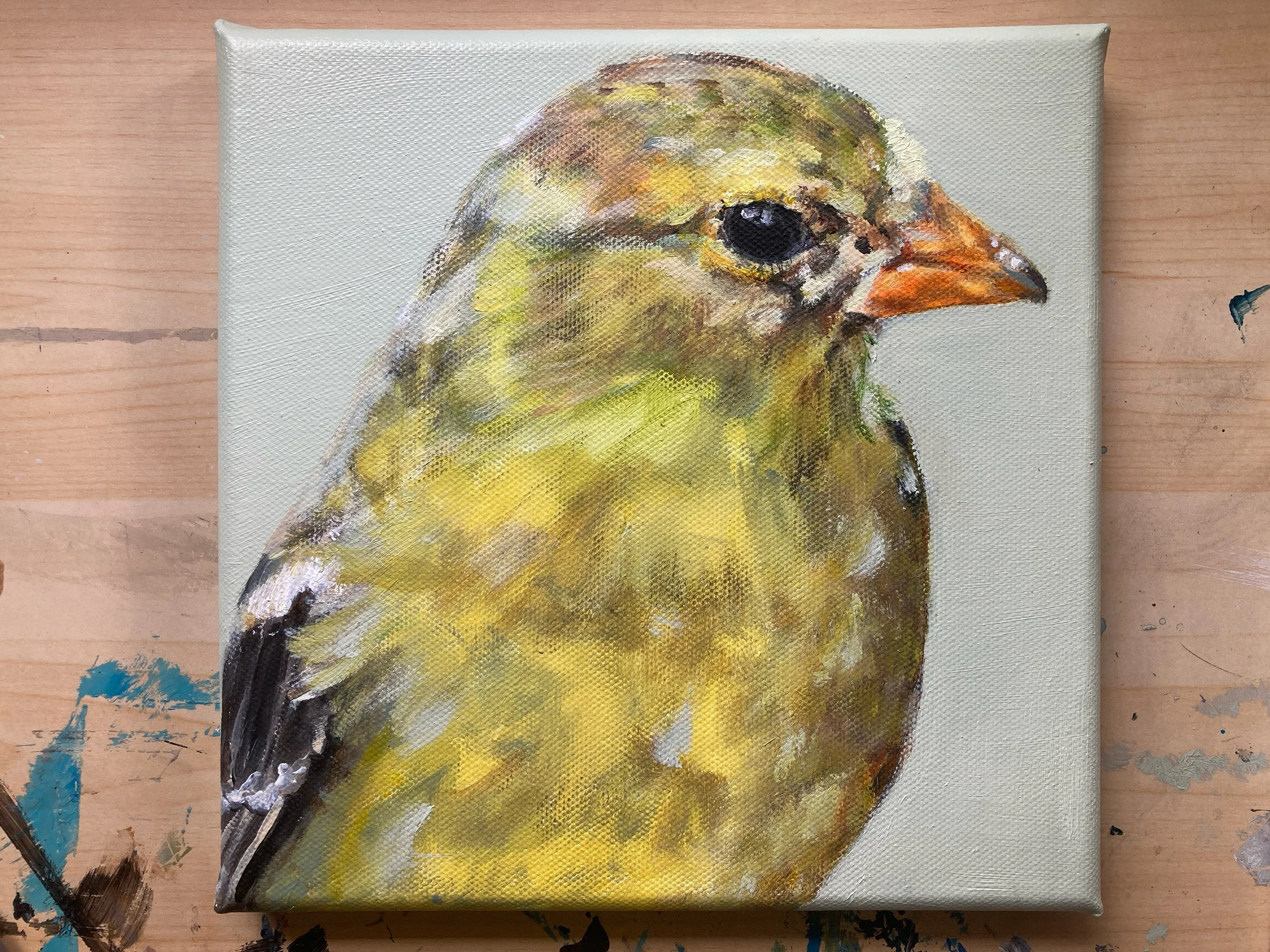 goldfinch
2025
8x8
acrylic on canvas