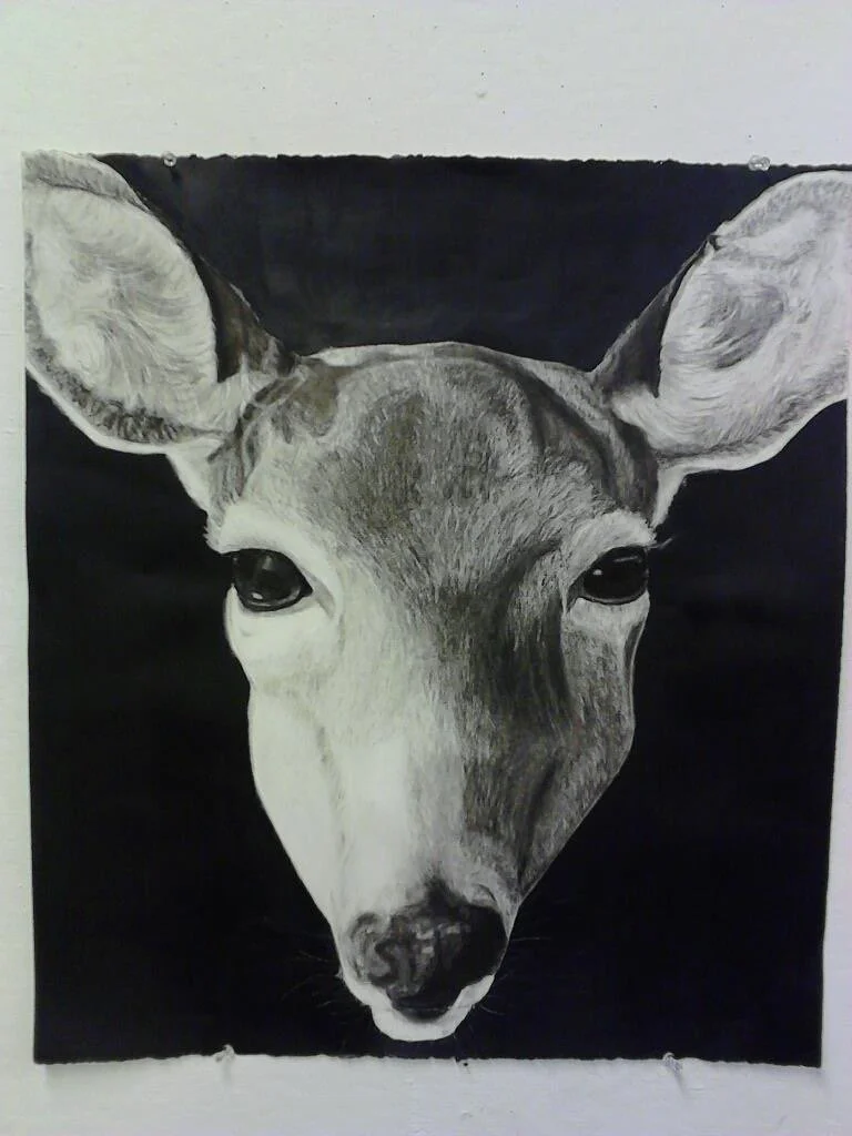 Deer
2013
16x20
graphite on paper with acrylic paint background