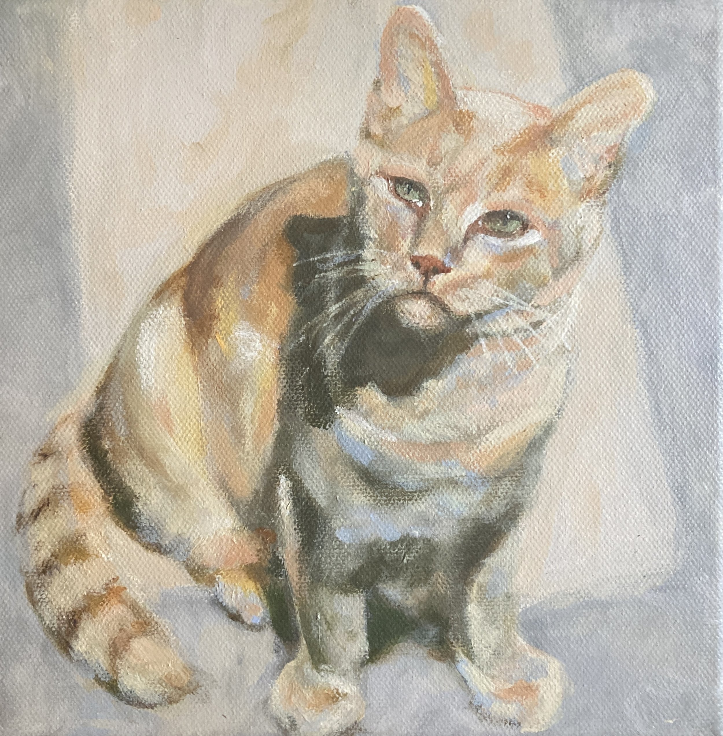 John
2024
8x8
acrylic on canvas