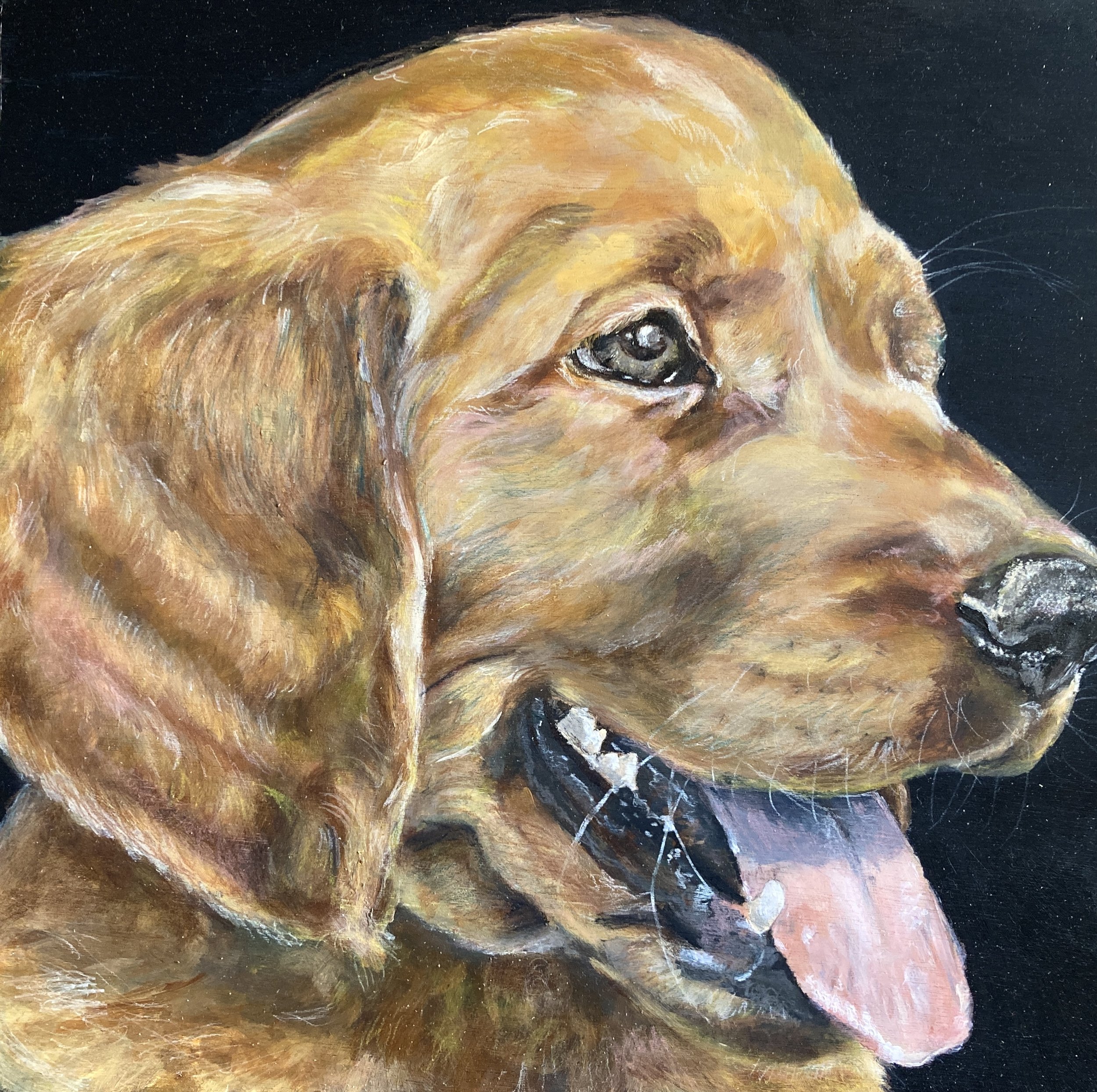 Buddy
2024
12x12
acrylic and pastel on wood panel