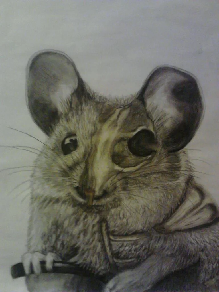 Bones
2013
11x14
graphite and colored pencils on paper