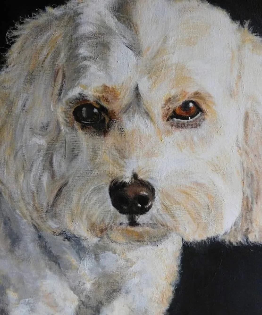 Pup
2019
16x20
acrylic on canvas