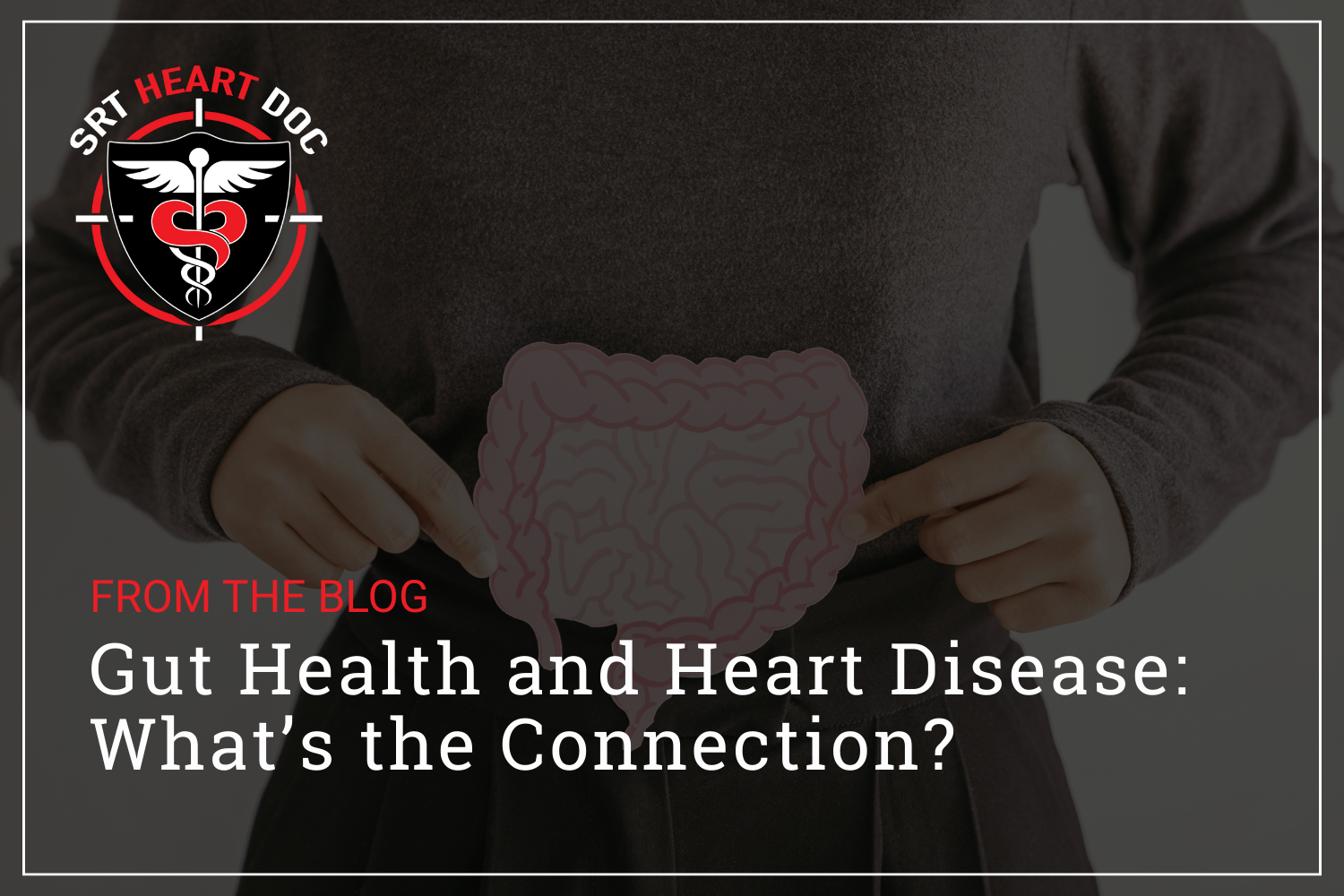 Gut Health and Heart Disease: What’s the Connection?