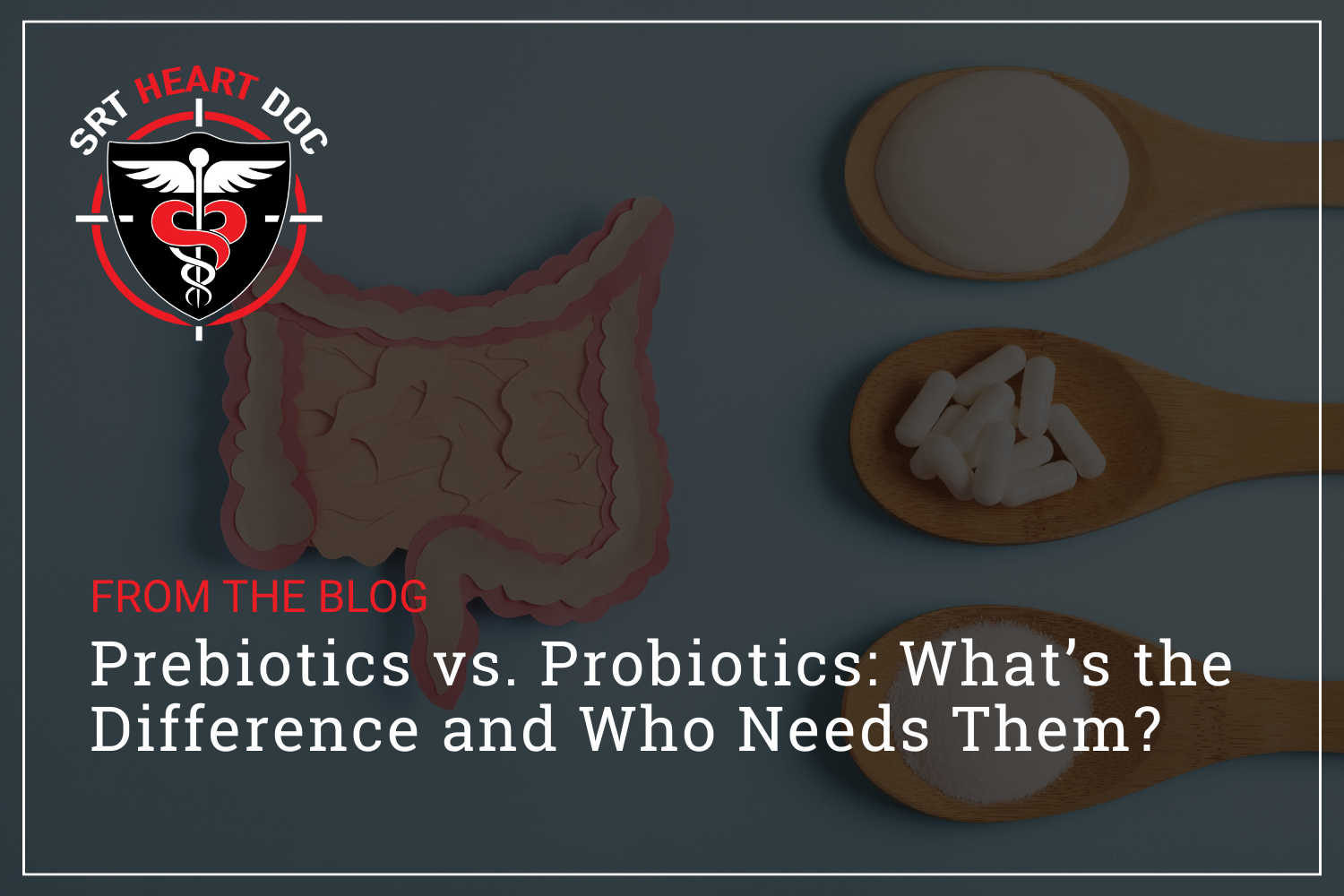Prebiotics vs. Probiotics: What’s the Difference and Who Needs Them?