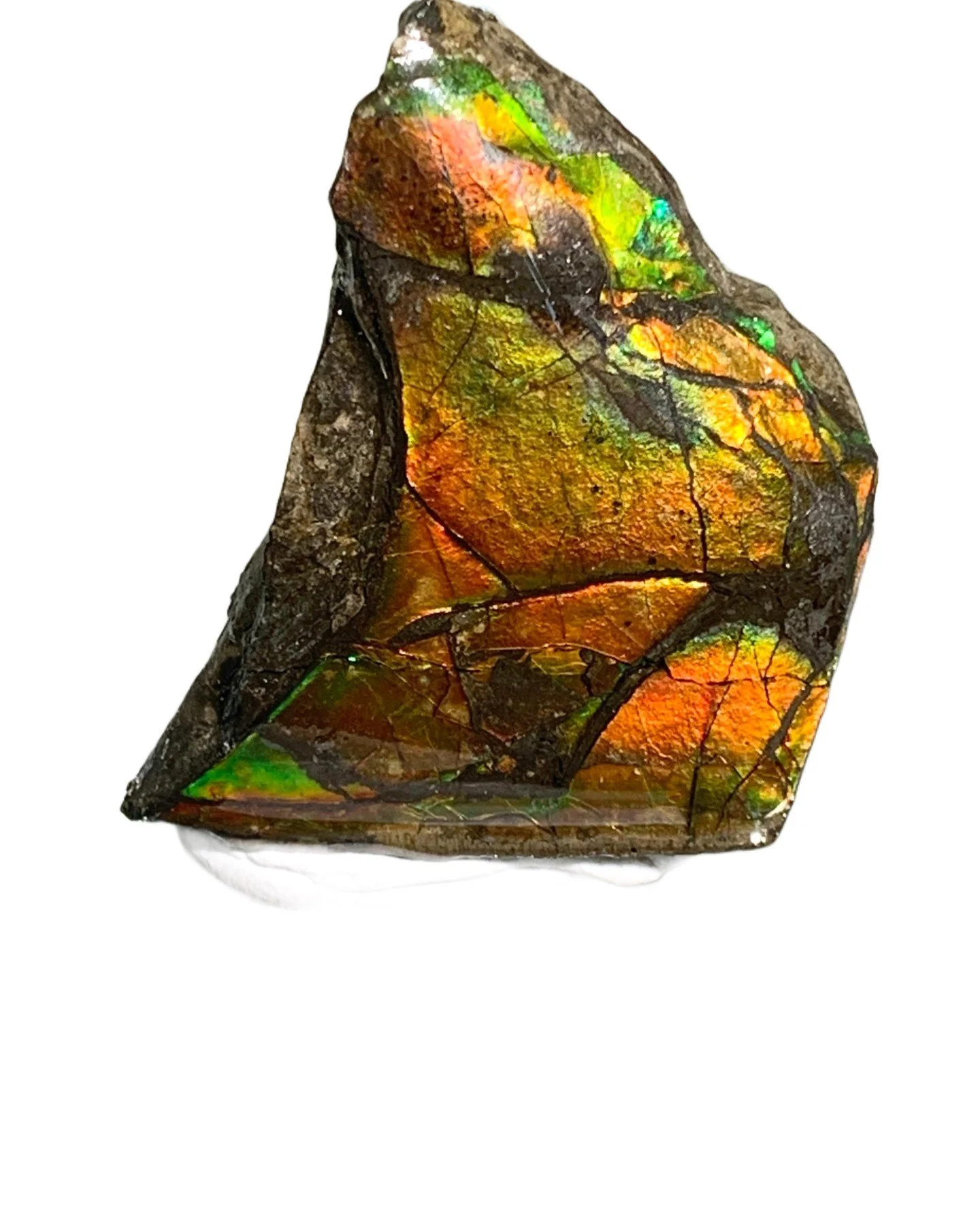 Can you guess this fiery crystal&rsquo;s story?

Ammolite

Every stone here has a journey&mdash;this one especially lights up our shop with its wild, molten colors and crackled surface. We handpick every piece, not just for beauty, but for the energy