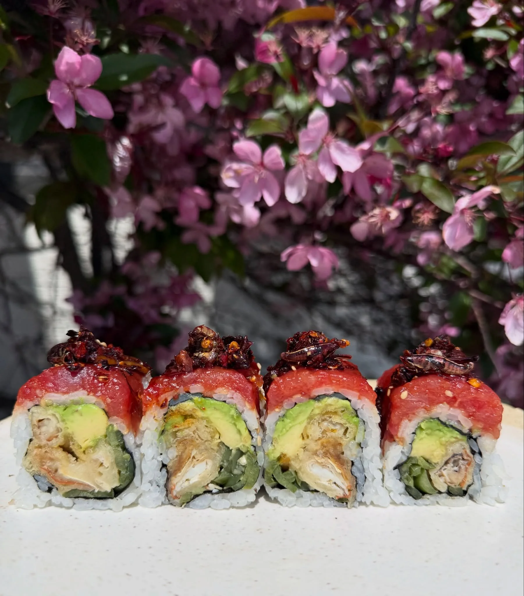 Chapuline Roll - Softshell crab, avocado, pickled onions, jalape&ntilde;o, tuna &amp; chipotle cricket chili oil