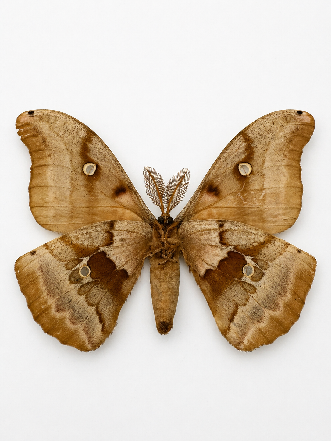 7F5E2BAB-D4EE-43AE-B39C-C9AB017E0153.PNG