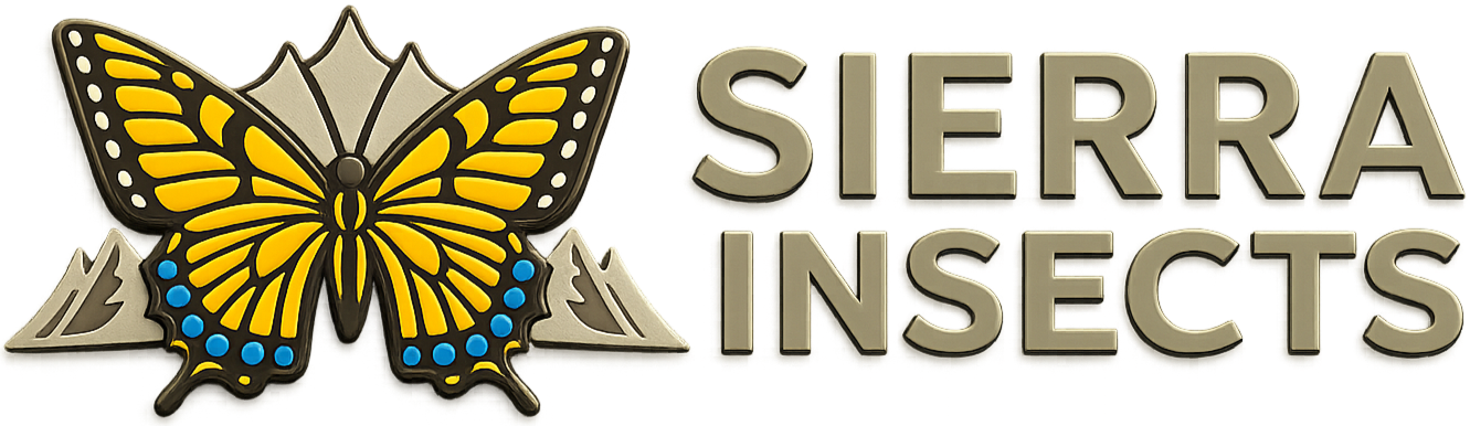 Sierra Insects