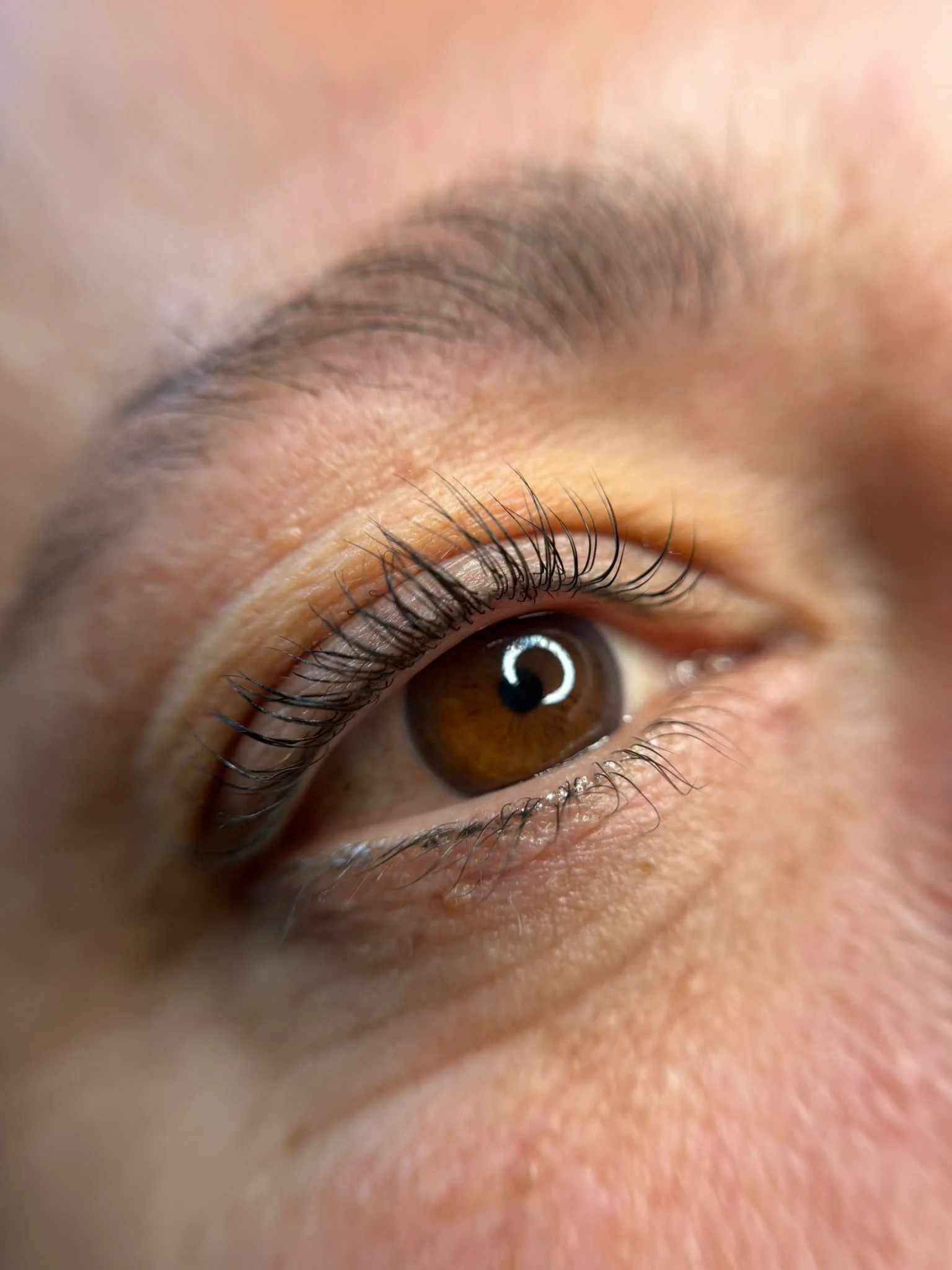 Nahaufnahme eines menschlichen Auges, braune Iris, lange Wimpern, geschlossene Oberlider, Haut um das Auge