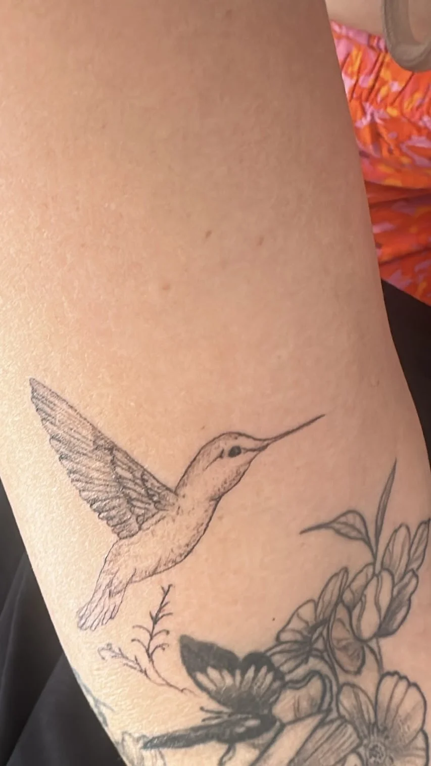 Verheiltes Fine Line Tattoo mit filigranem Kolibri bei VOI SCHEE in Weichs