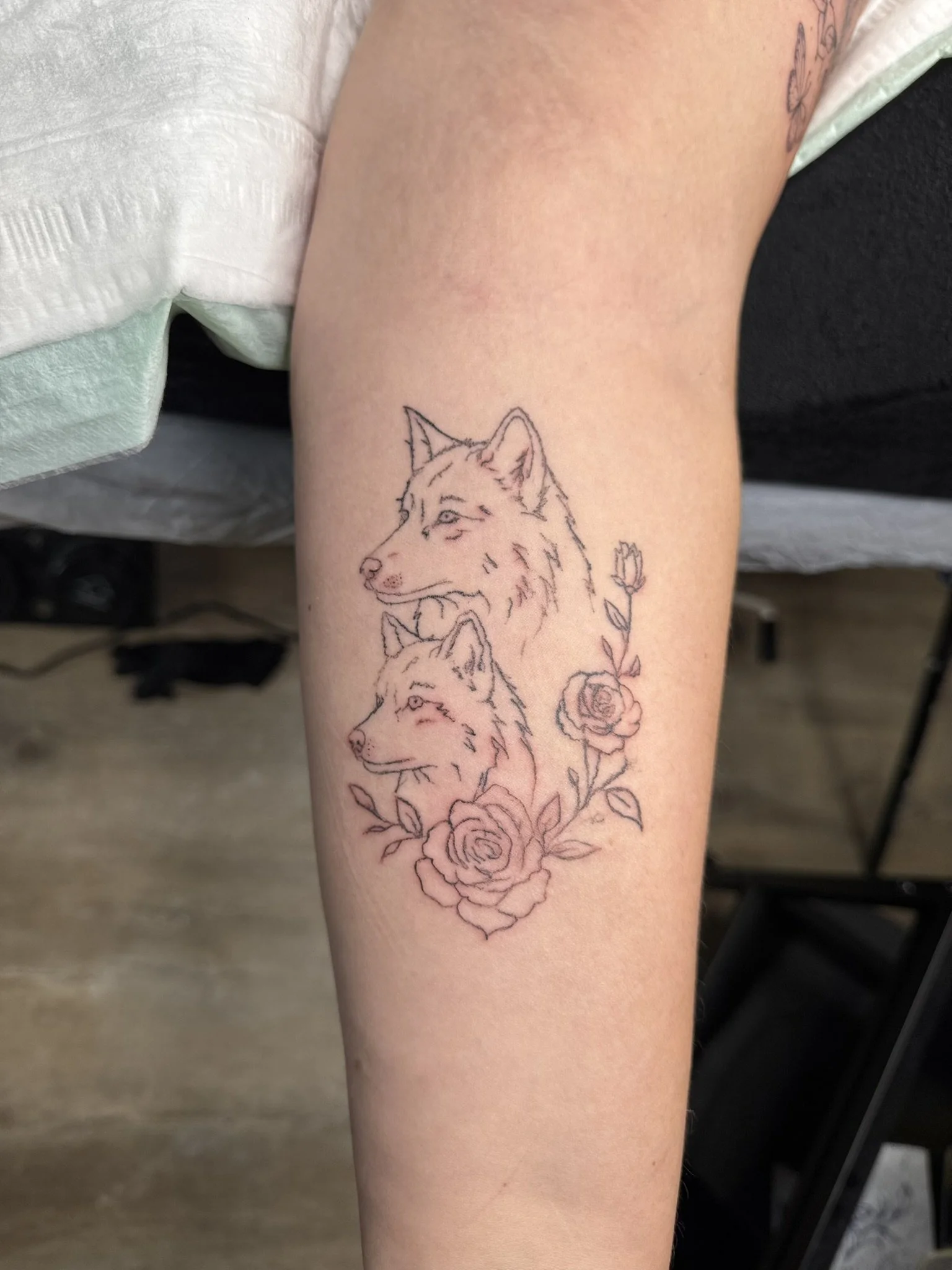 Fine Line Tattoo mit zwei Wölfen nach dem Nachstechen einzelner Linien