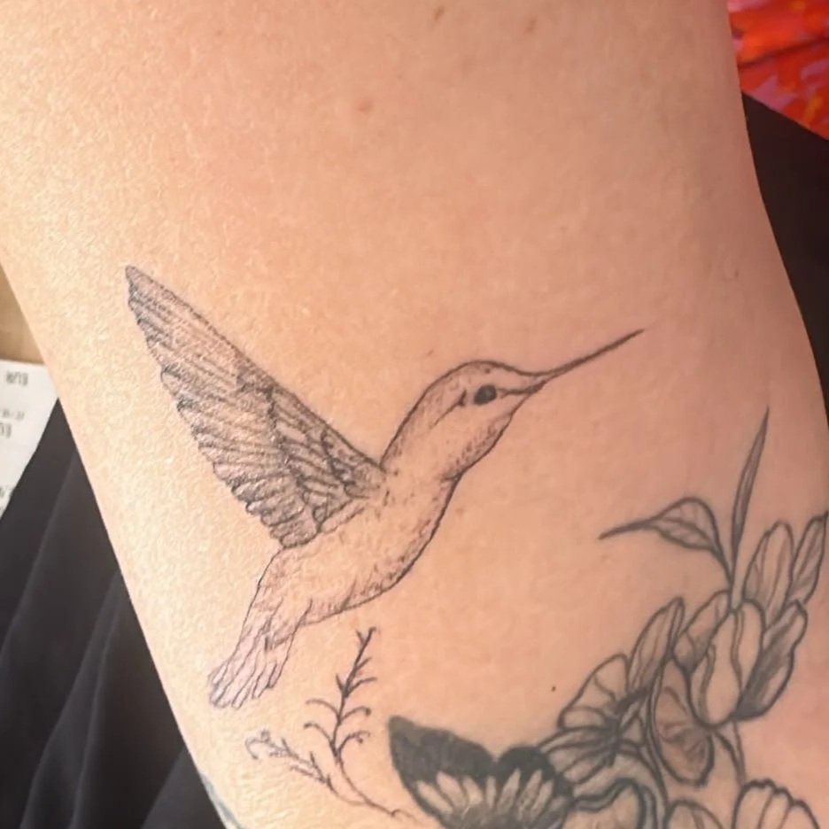 Kolibri FINELINE TATTOO VOI SCHEE STUDIO IN WEICHS