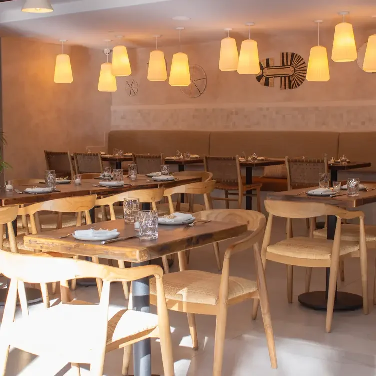 Lime paint finish in restaurant, Eva, Coconut Grove, Miami, FL