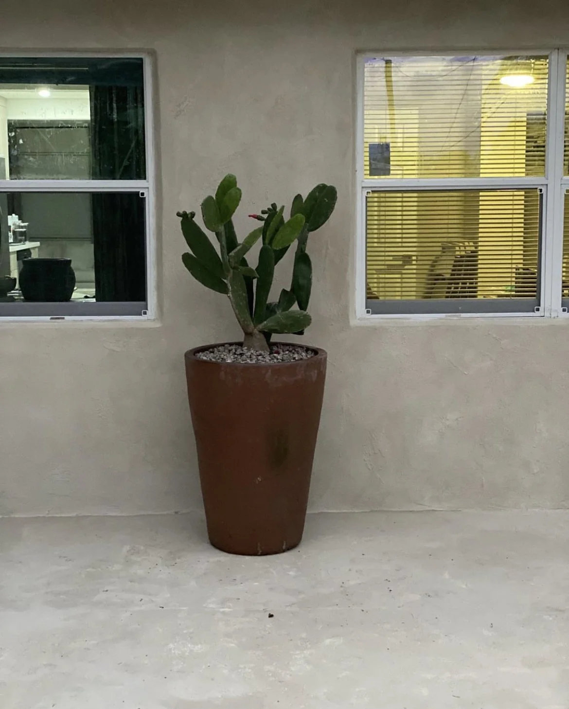 Exterior lime wash