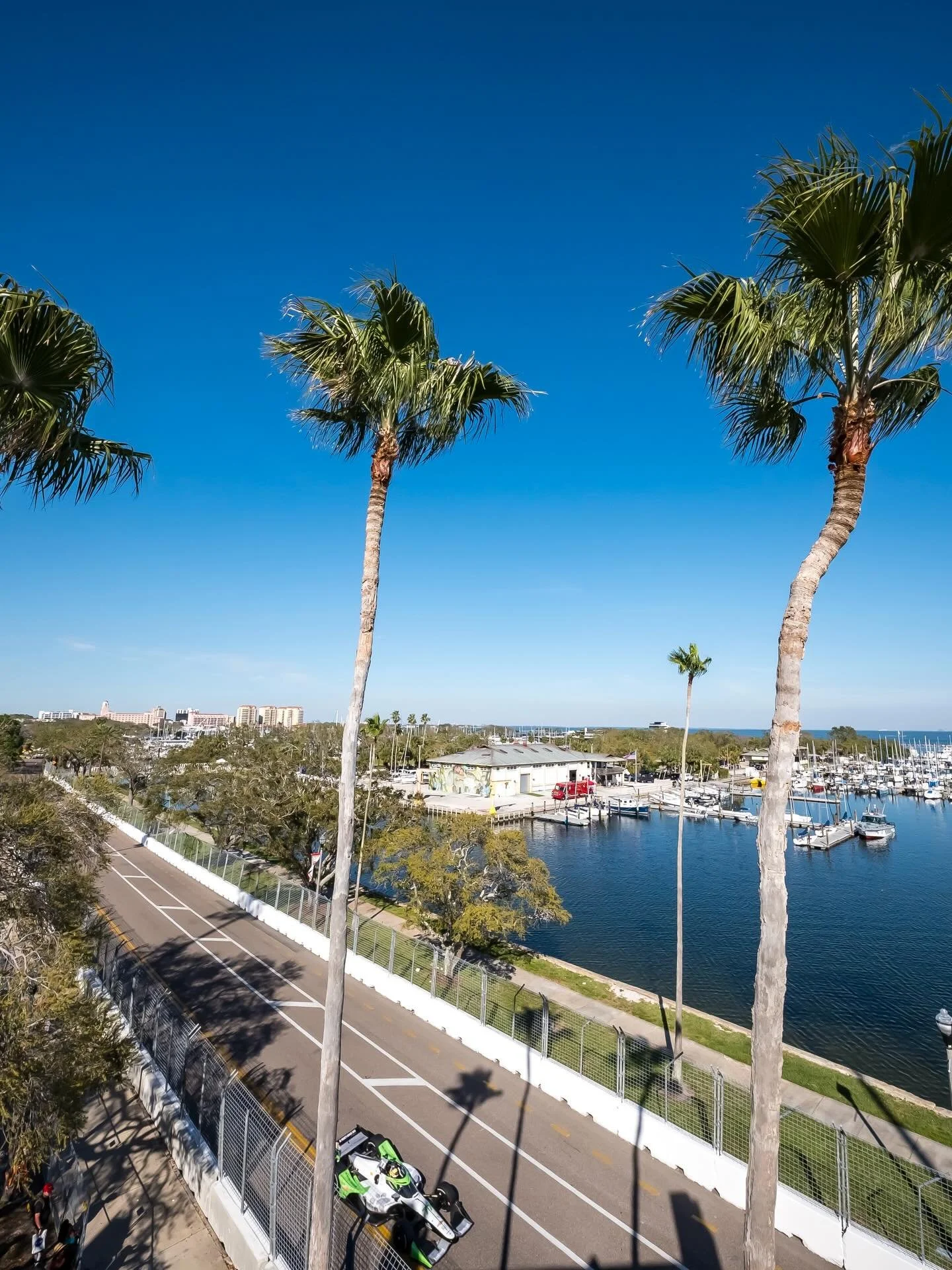 Looking at St. Pete photos to cure our winter blues ☀️🌴