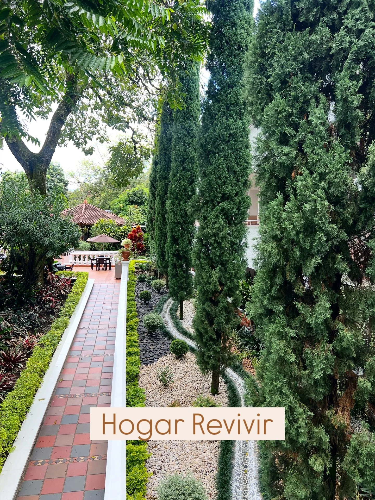 Cuidar nuestro hogar es cuidar la vida que florece en &eacute;l.
Cada rinc&oacute;n limpio, cada planta viva, es reflejo del amor y respeto que compartimos. 🌱💚