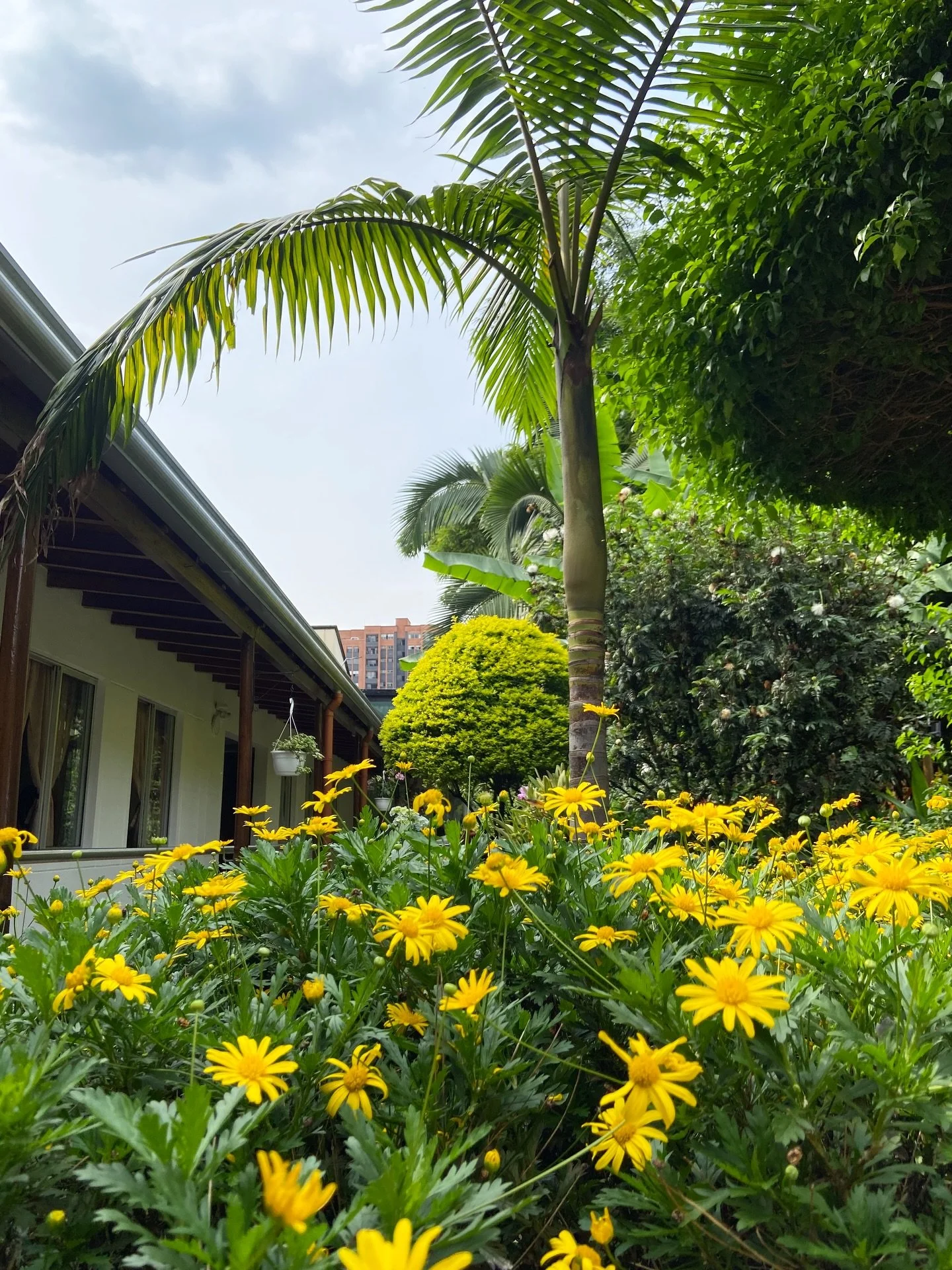 Feliz Inicio de a&ntilde;o 👵🏻👴🏼 En Hogar Revivir creemos que la verdadera prosperidad se mide en abrazos, en risas que regresan y en historias que nunca pasan de moda.
Que este a&ntilde;o traiga salud, calma y metas cumplidas&hellip; pero, sobre 