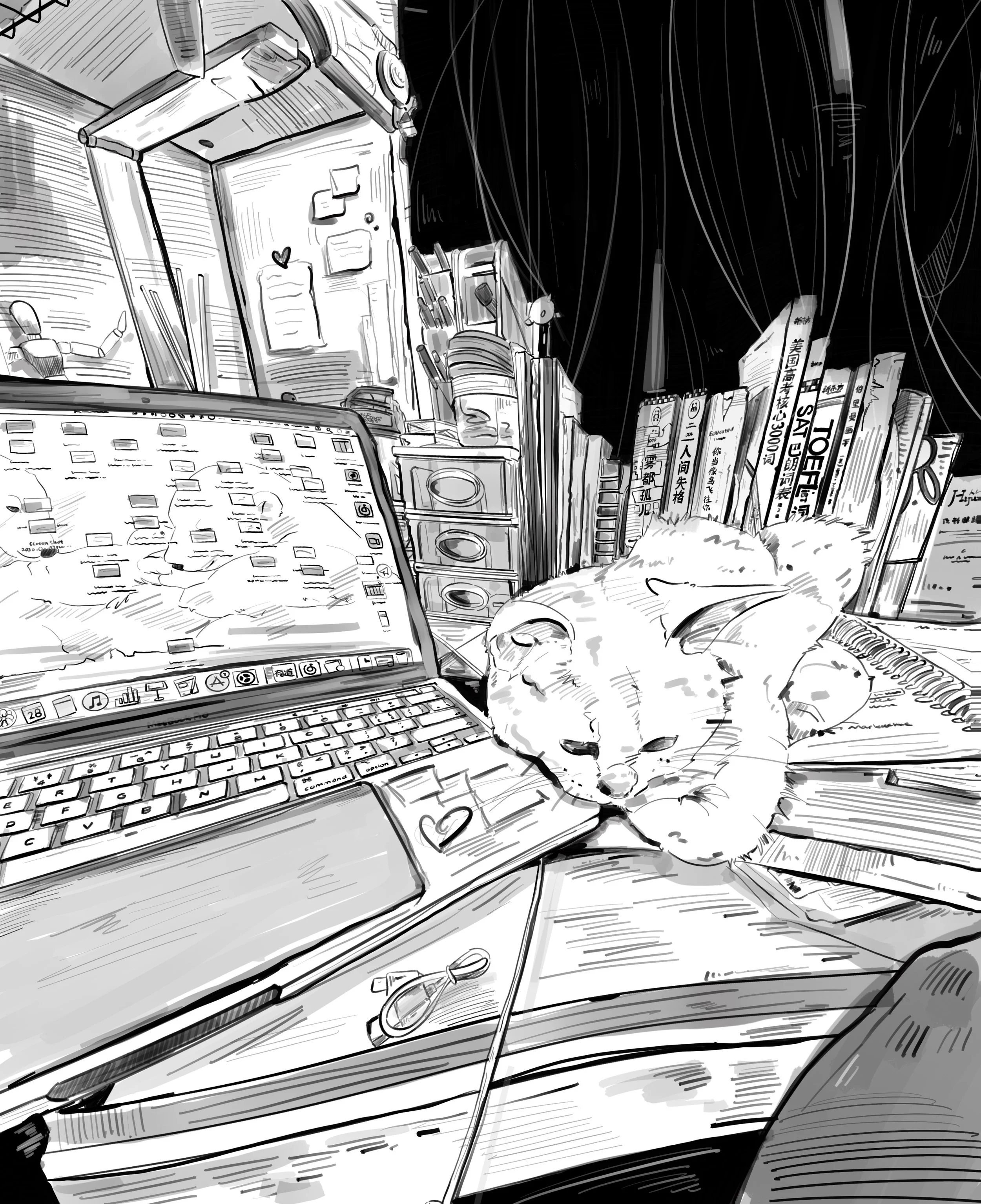 未命名作品 11 copy.jpg