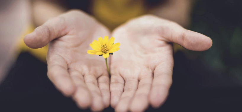 Finding a Neuroaffirming Therapist for ADHD