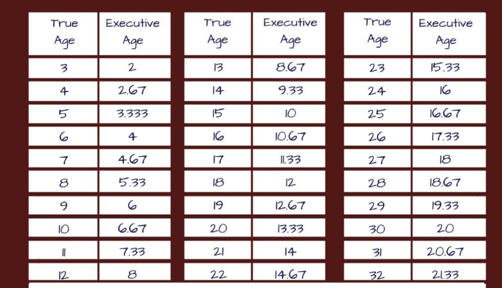 A table show delopmental delay in executive functions, approximately 30% behind their neurotypical peers.