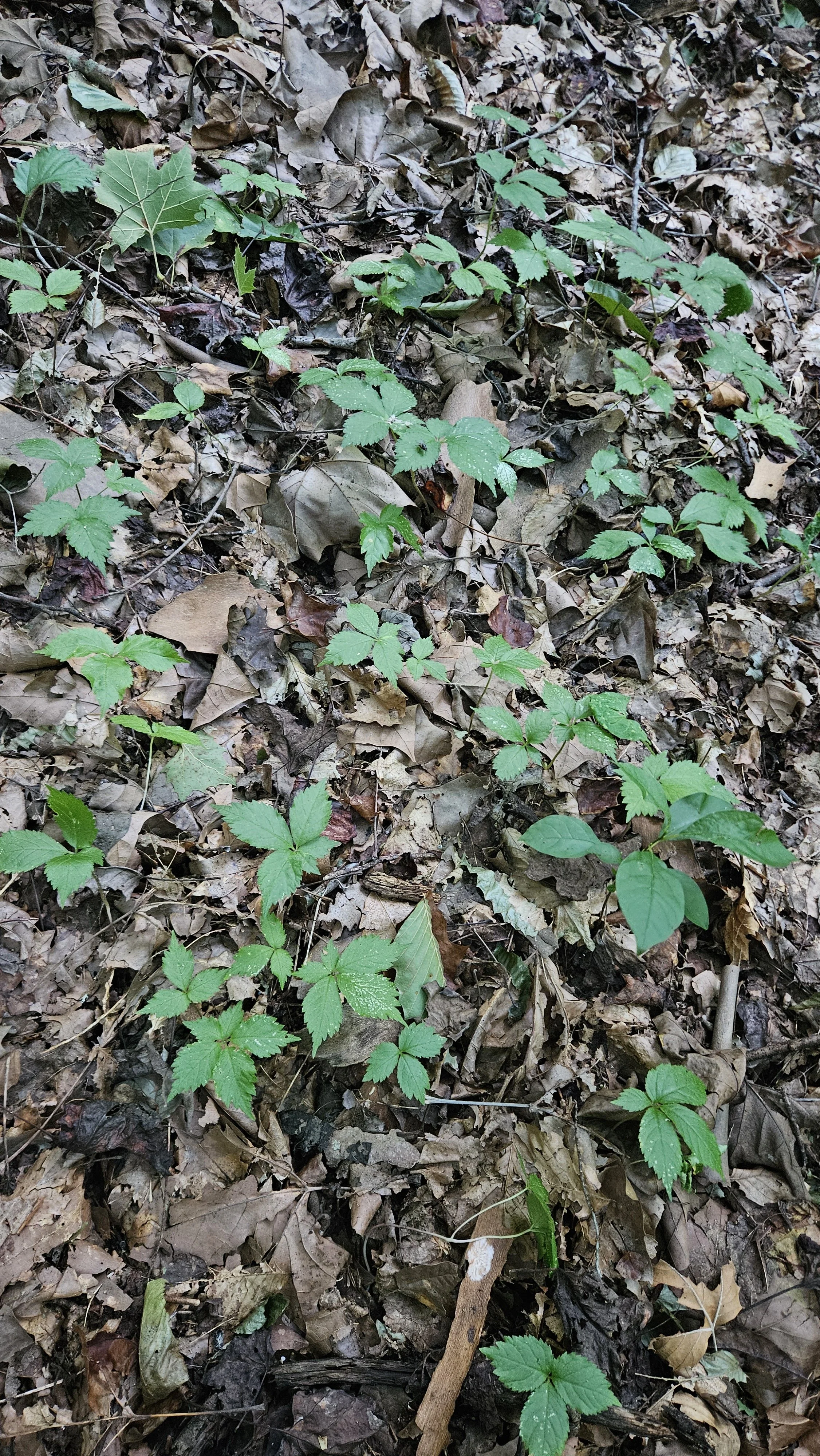 20260907_182115.jpg