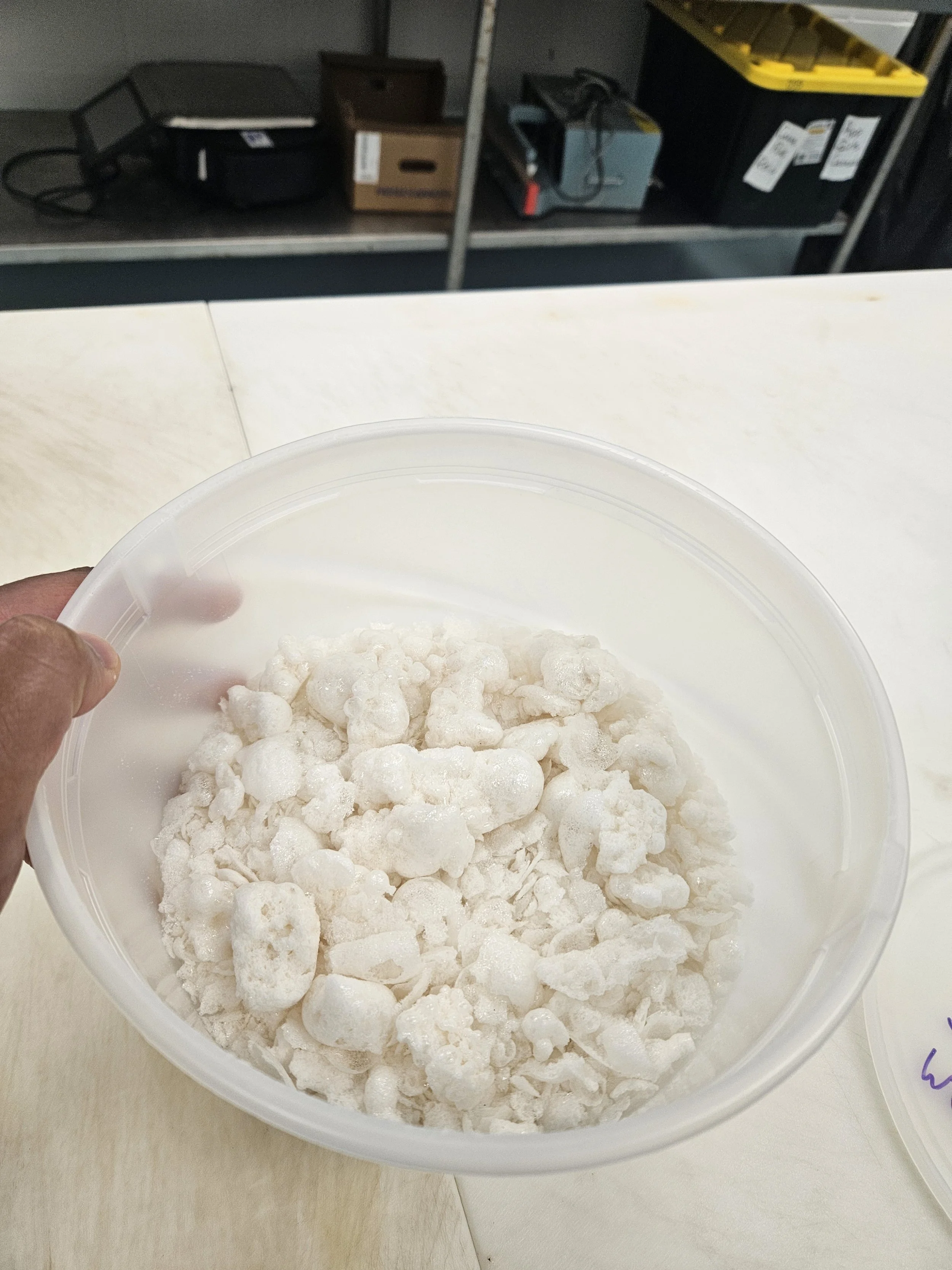 Maple Sap Powder