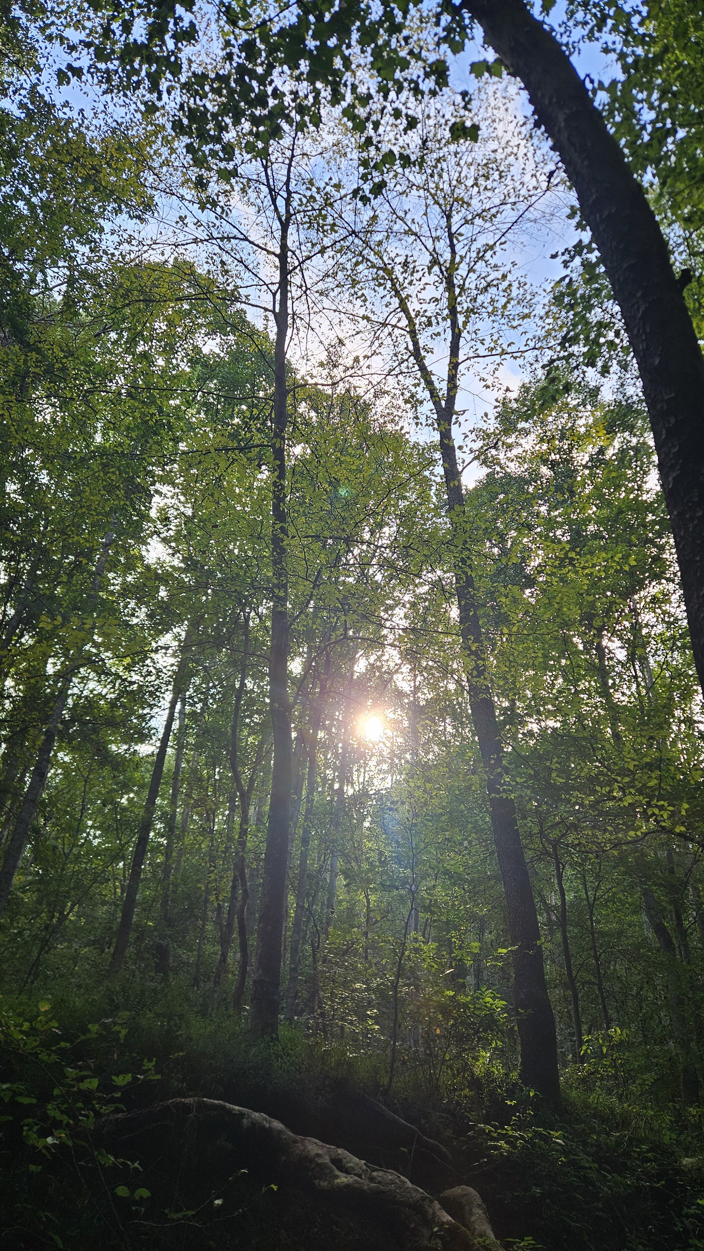 20260913_171058.jpg