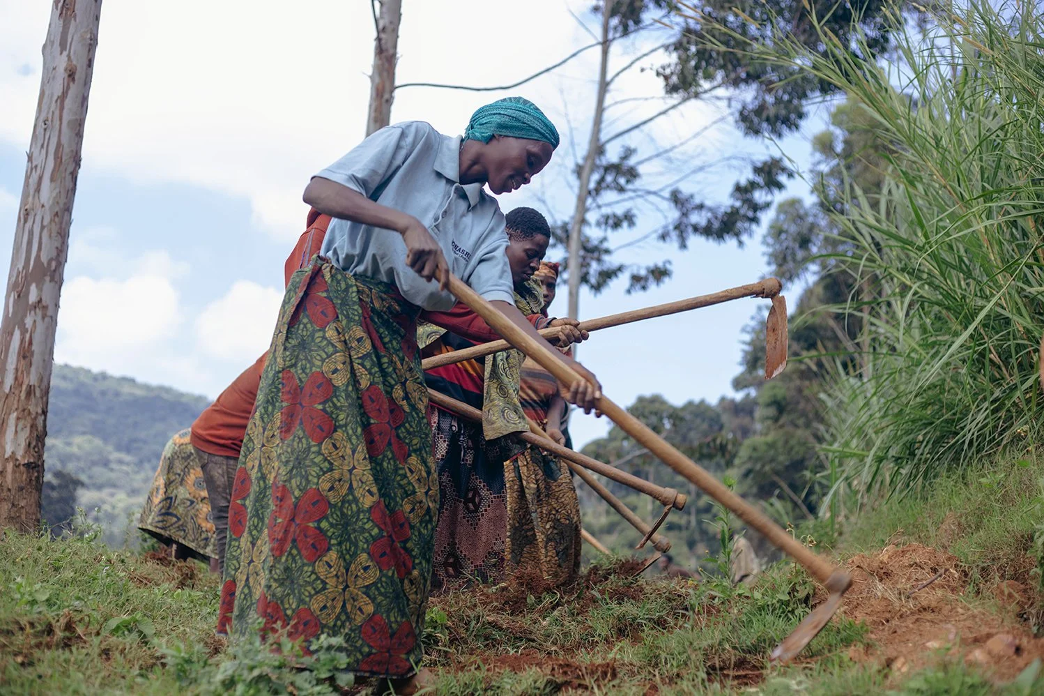 Groupe de femmes africaines cultivant la terre dans un champ en utilisant des outils agricoles traditionnels.