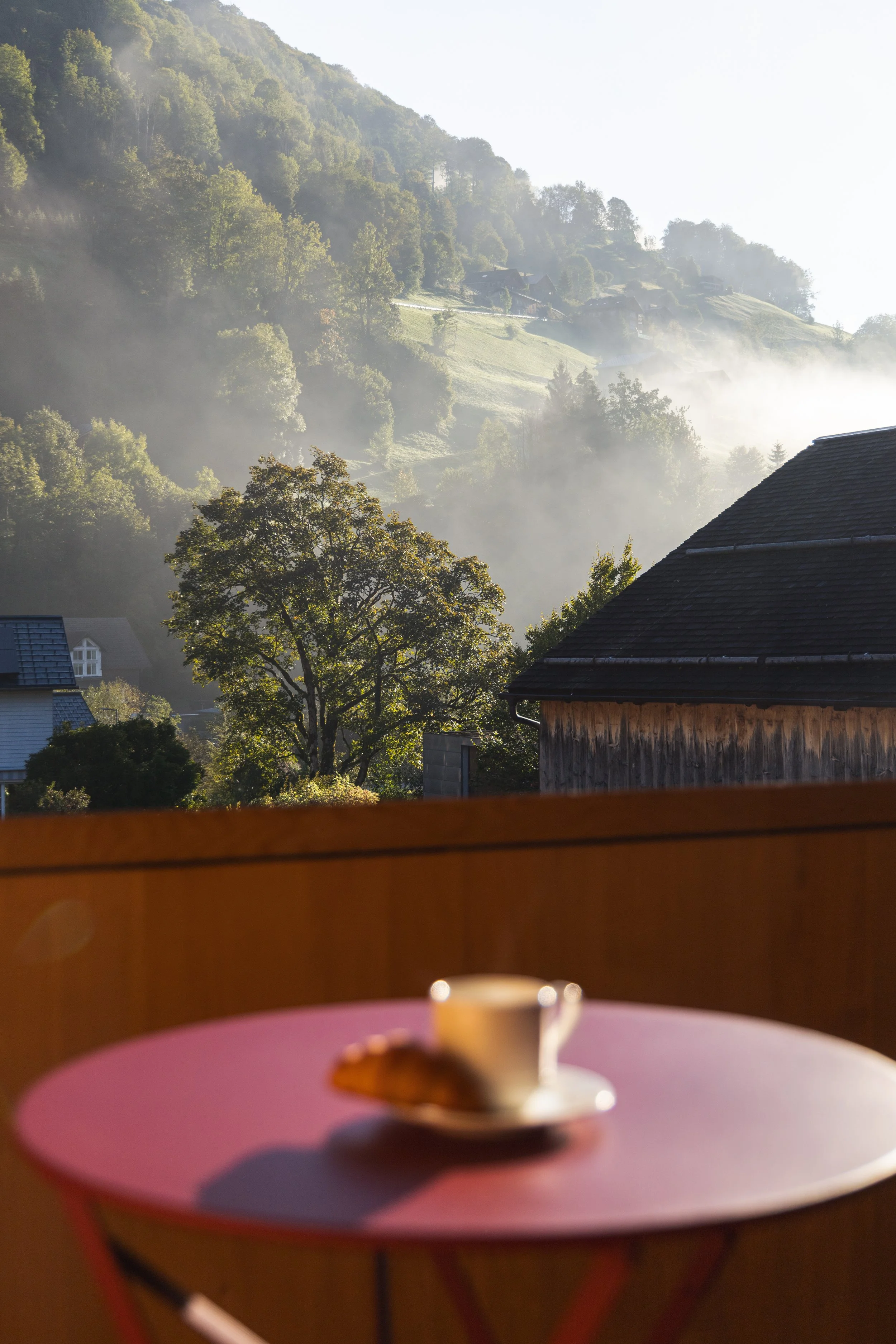 Vorarlberg_7 ©Laura Claessens.jpg