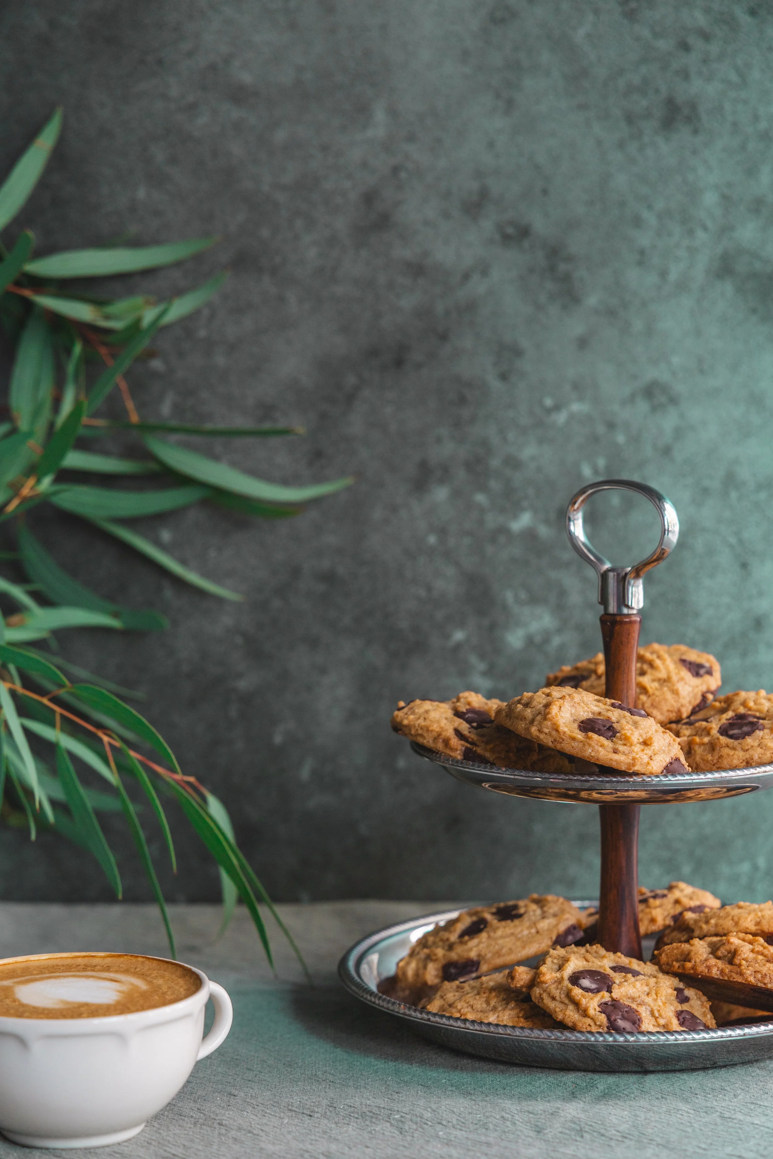 antoinette ©among pine trees-1.jpg