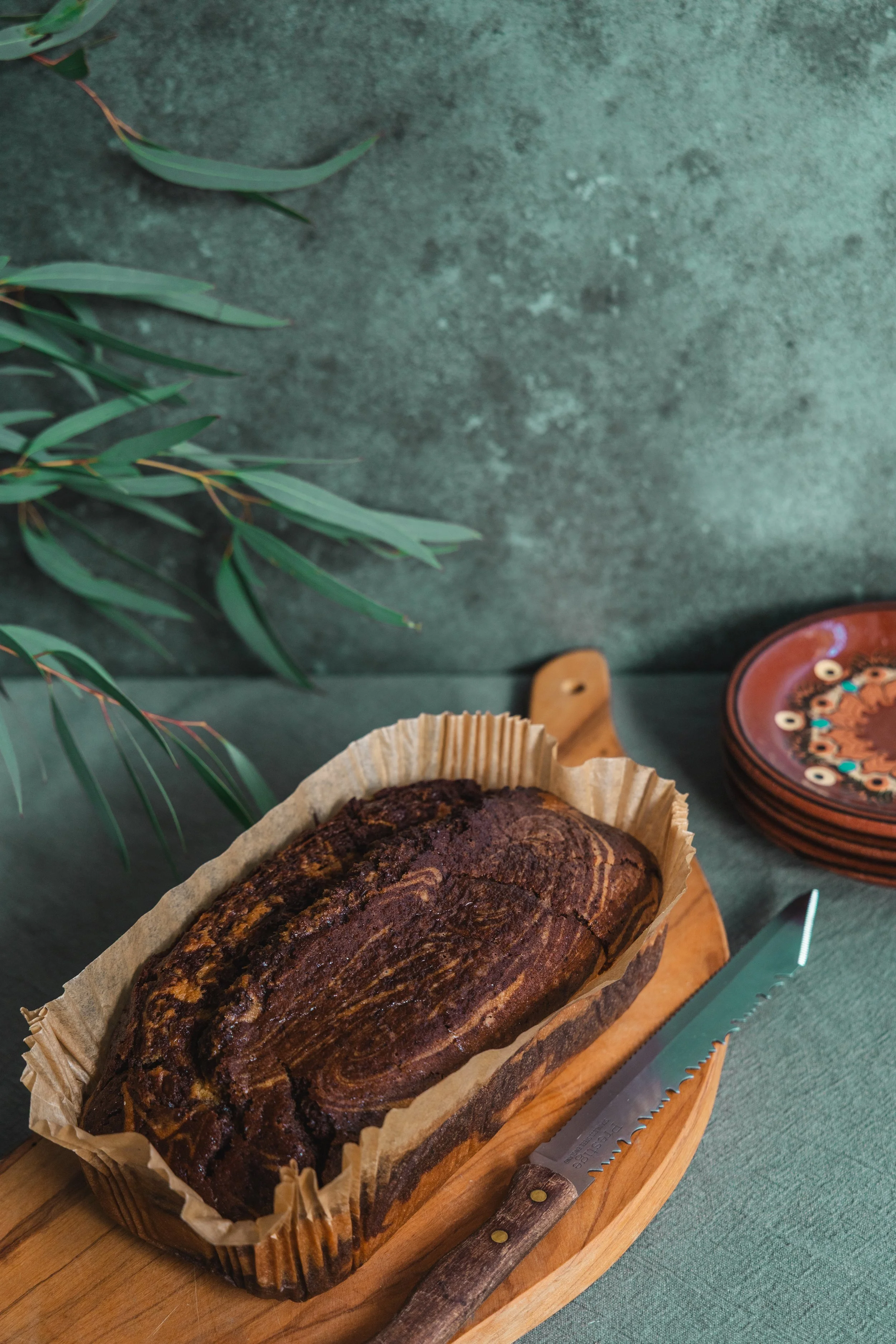 antoinette ©among pine trees-11.jpg