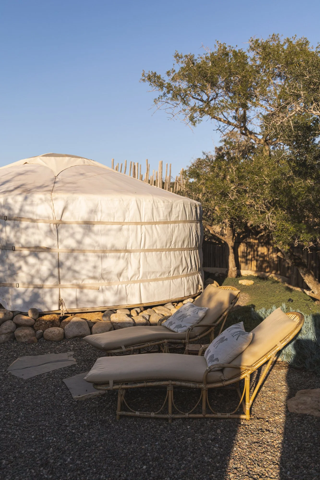 Two lounge chairs with cushions in a backyard with a yurt, trees, and a wooden fence in the background during late afternoon sunlight.