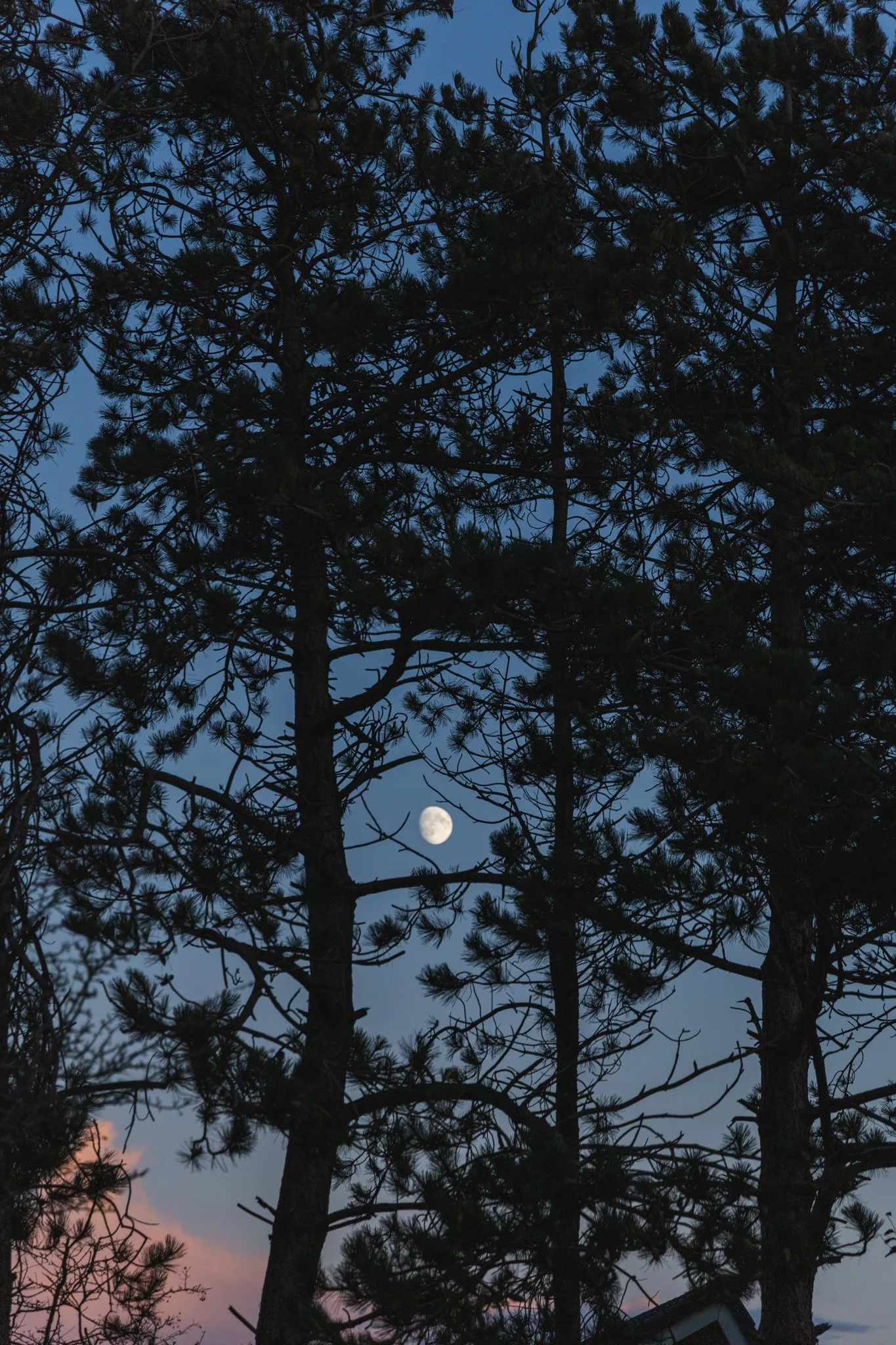 Dune seaside getaway