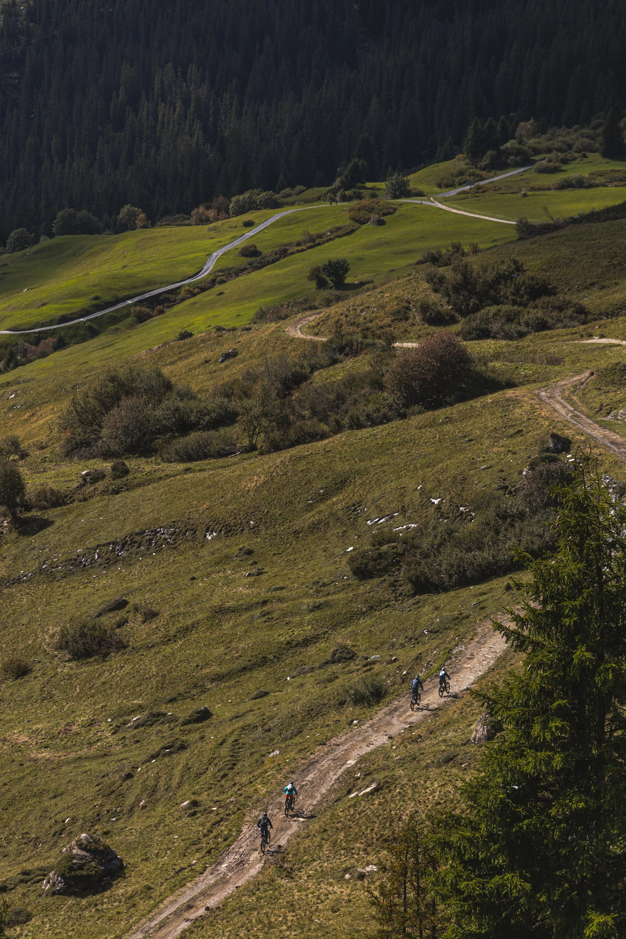 ZWITSERLAND-14.jpg