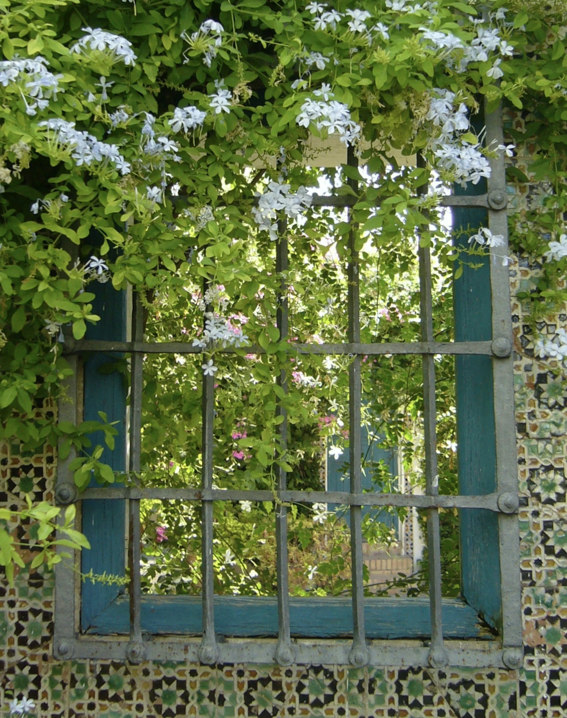 Vivid green bush with white flowers behind a metal and wood trellis, with a patterned tile wall at the bottom.