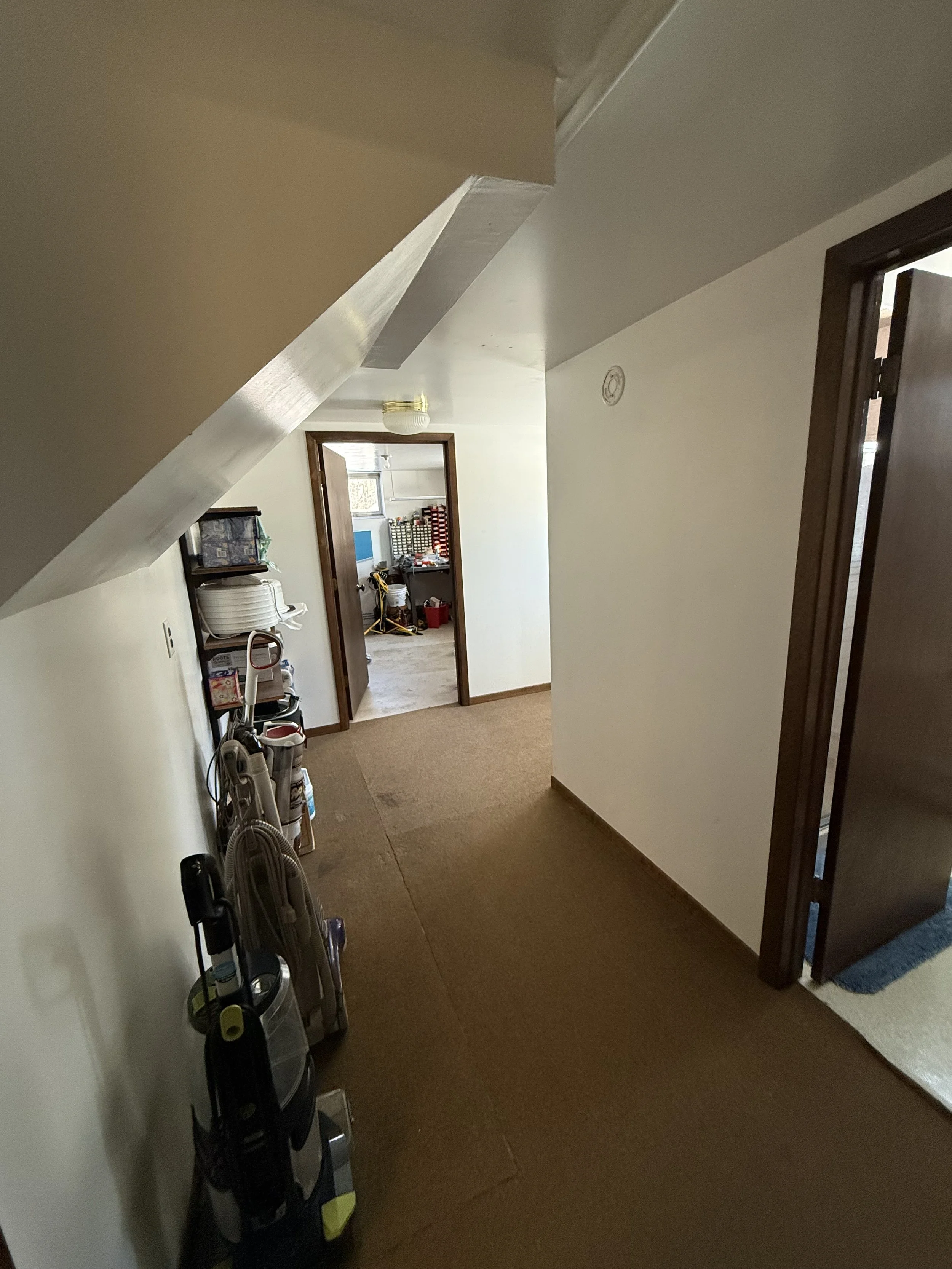 Lower level hall to walkout and flex room