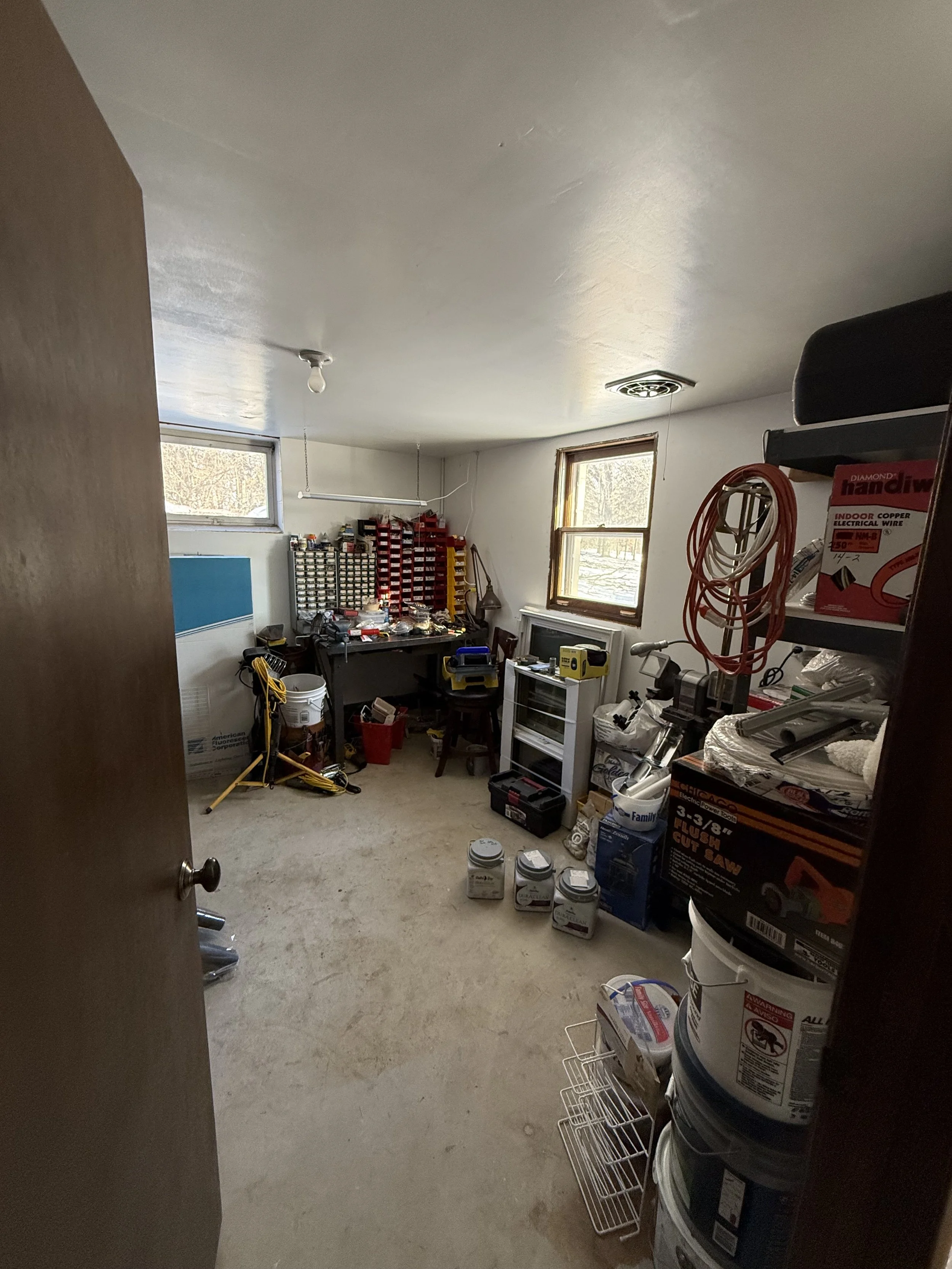 lower level flex room